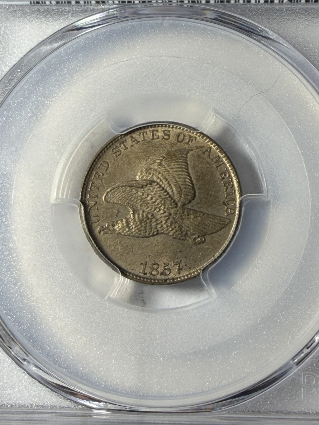 1857 PCGS Genuine Flying Eagle Graffiti Set