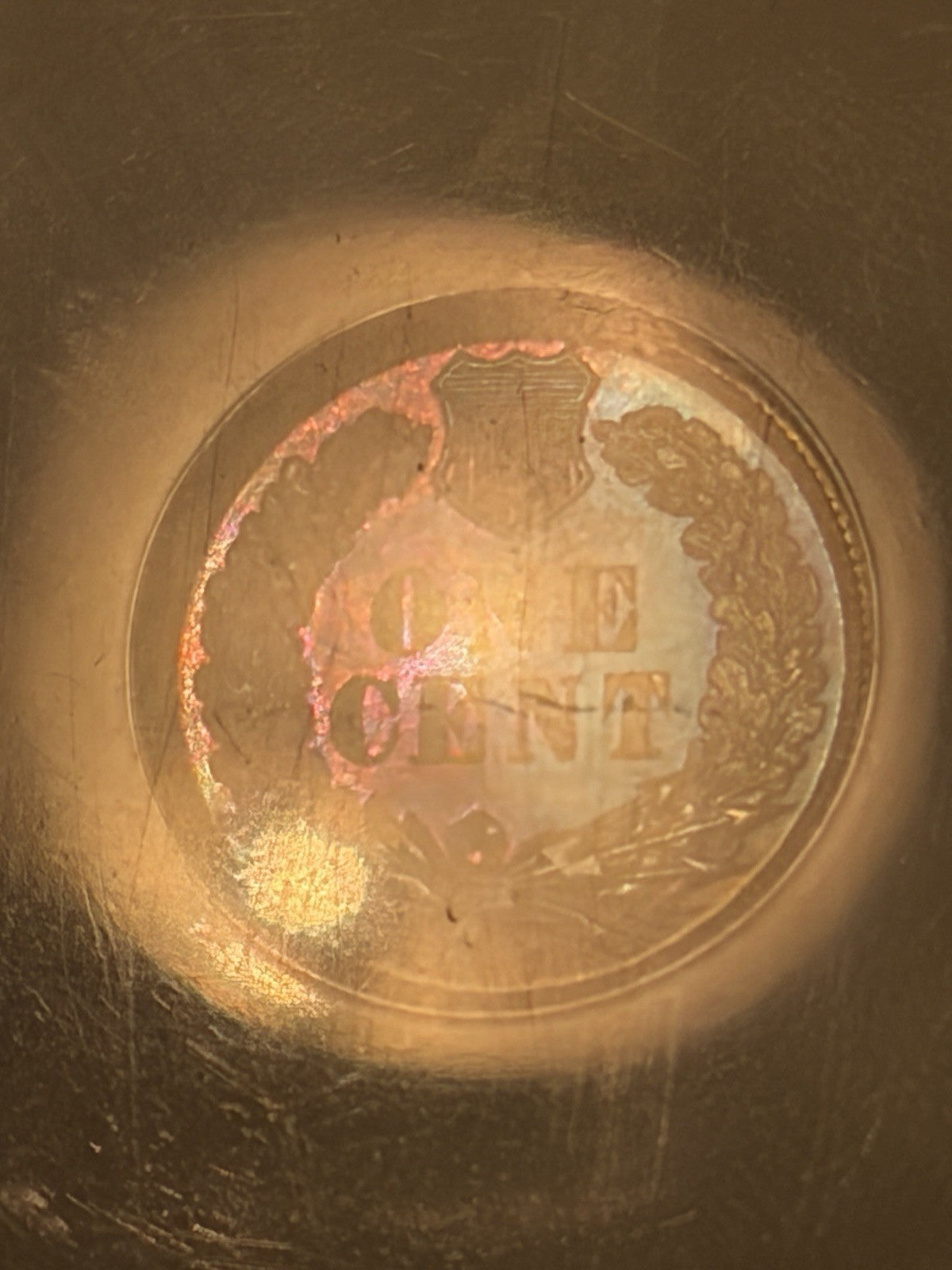 1884 NGC PF67 BN Indian Head Cent Eagle Eye Proof