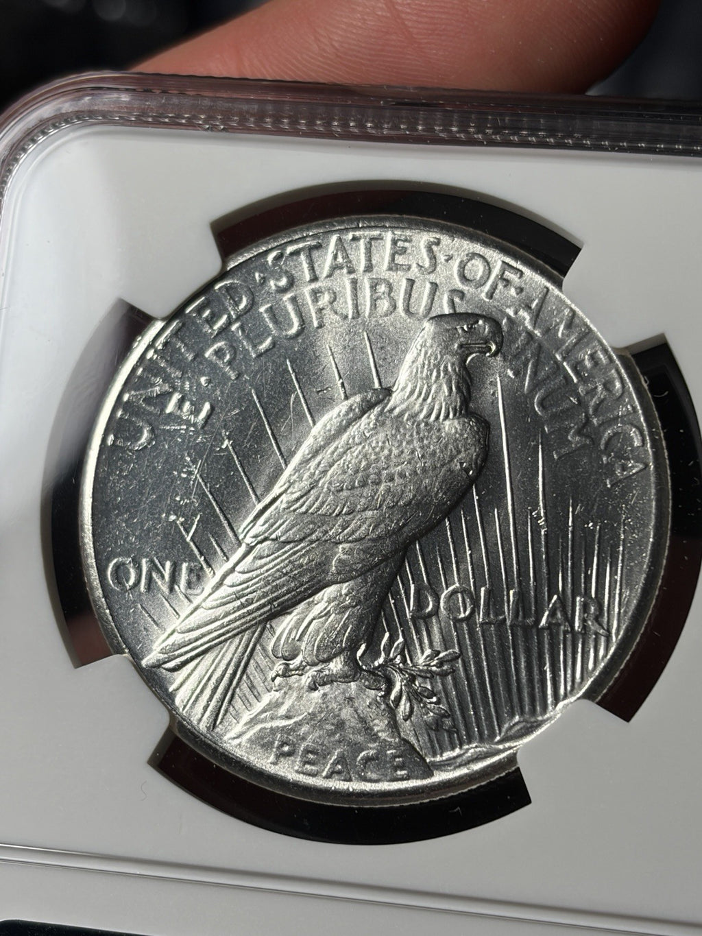1928 NGC MS62 Peace Silver Dollar Key Date Blast White