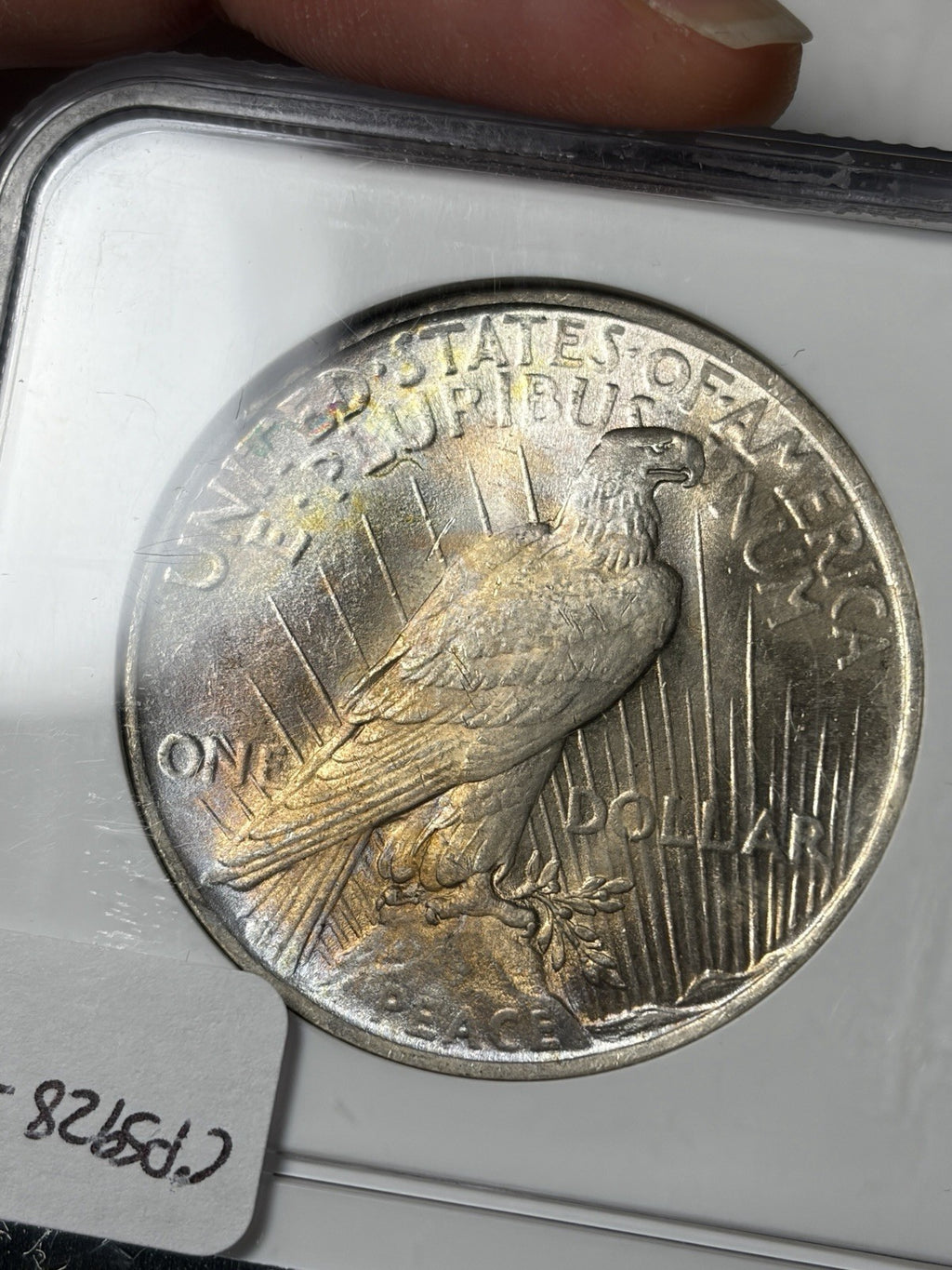 1923 NGC MS63 Peace Silver Dollar Toned RARE