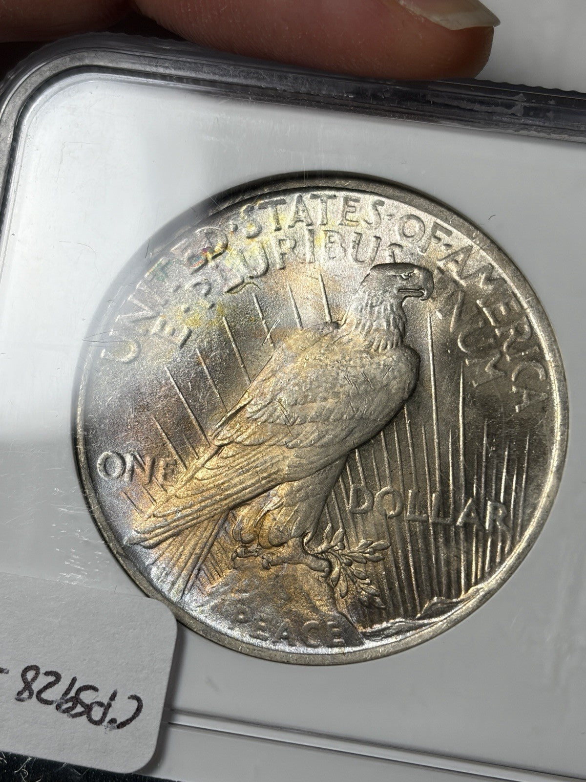 1923 NGC MS63 Peace Silver Dollar Toned RARE