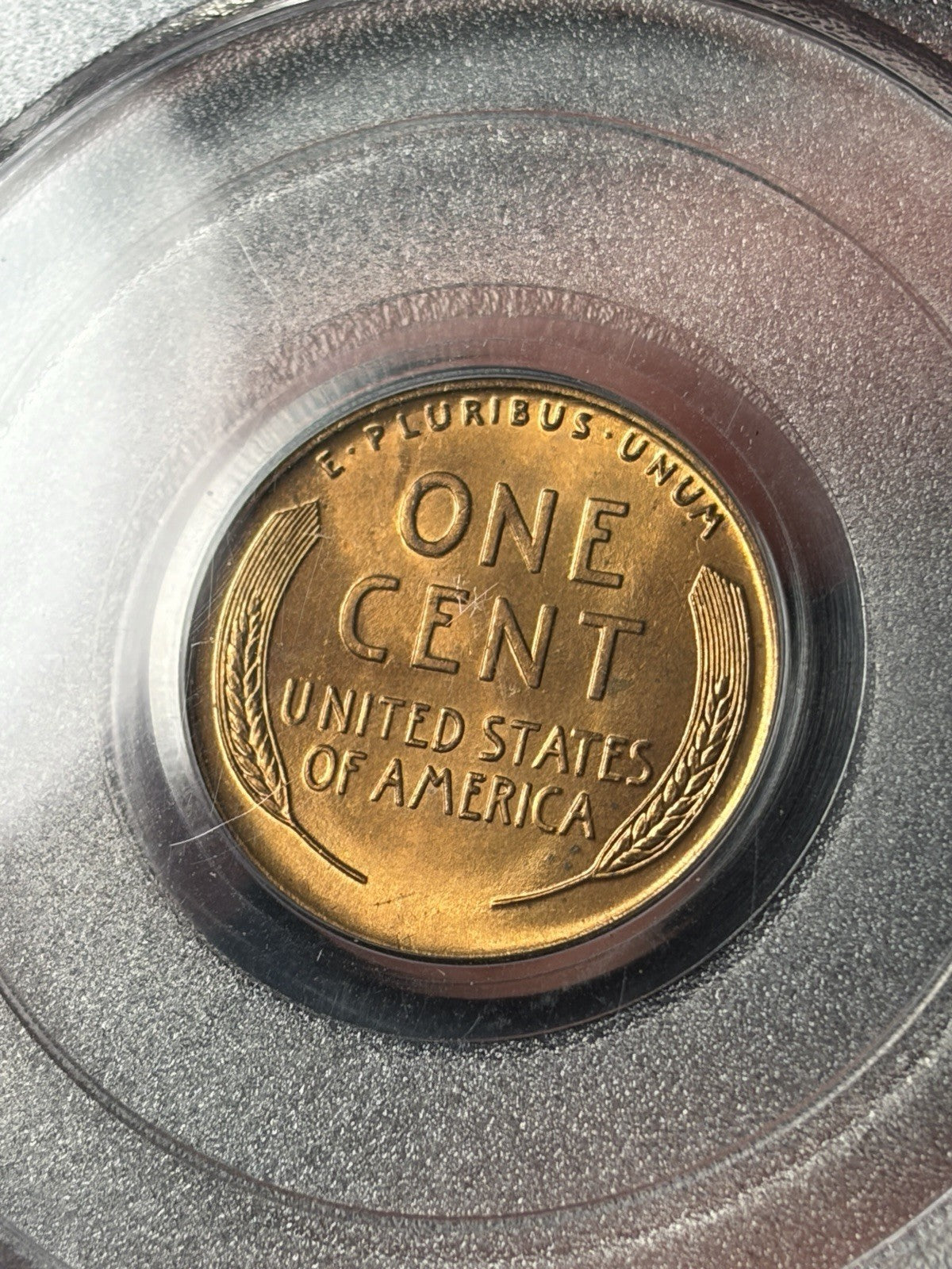 1926 PCGS MS65 RD CAC Lincoln Wheat Cent Old Blue Holder