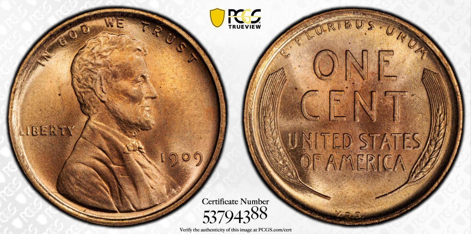 1909 VDB PCGS MS66 RD CAC Lincoln Wheat Cent Nice Coin