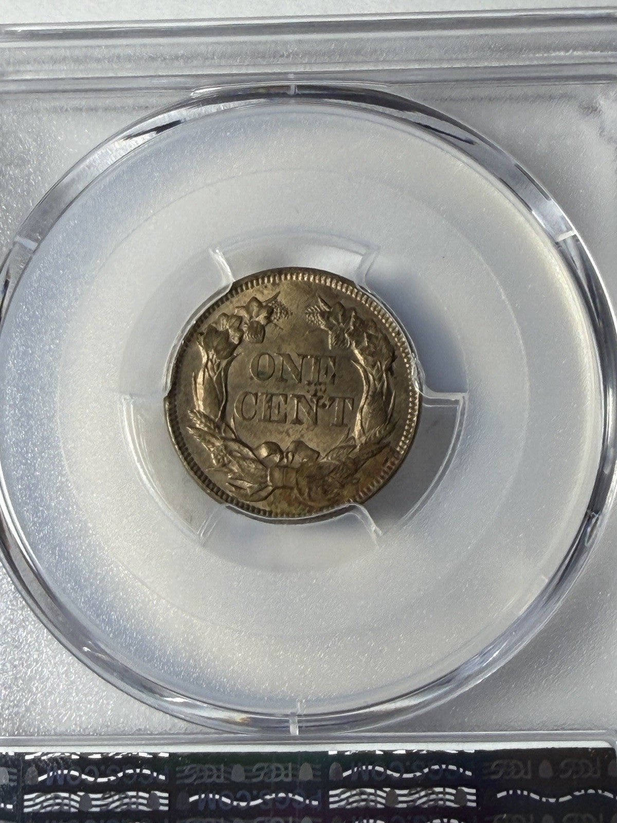 1857 PCGS Genuine Flying Eagle Graffiti Set