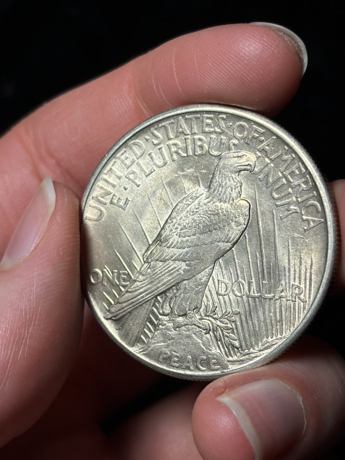 1921 Peace Silver Dollar