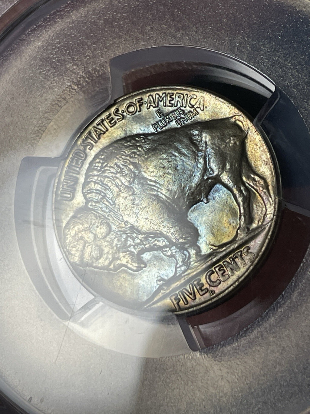 1925-D PCGS MS65 Buffalo Nickel Toned Blue And Gold