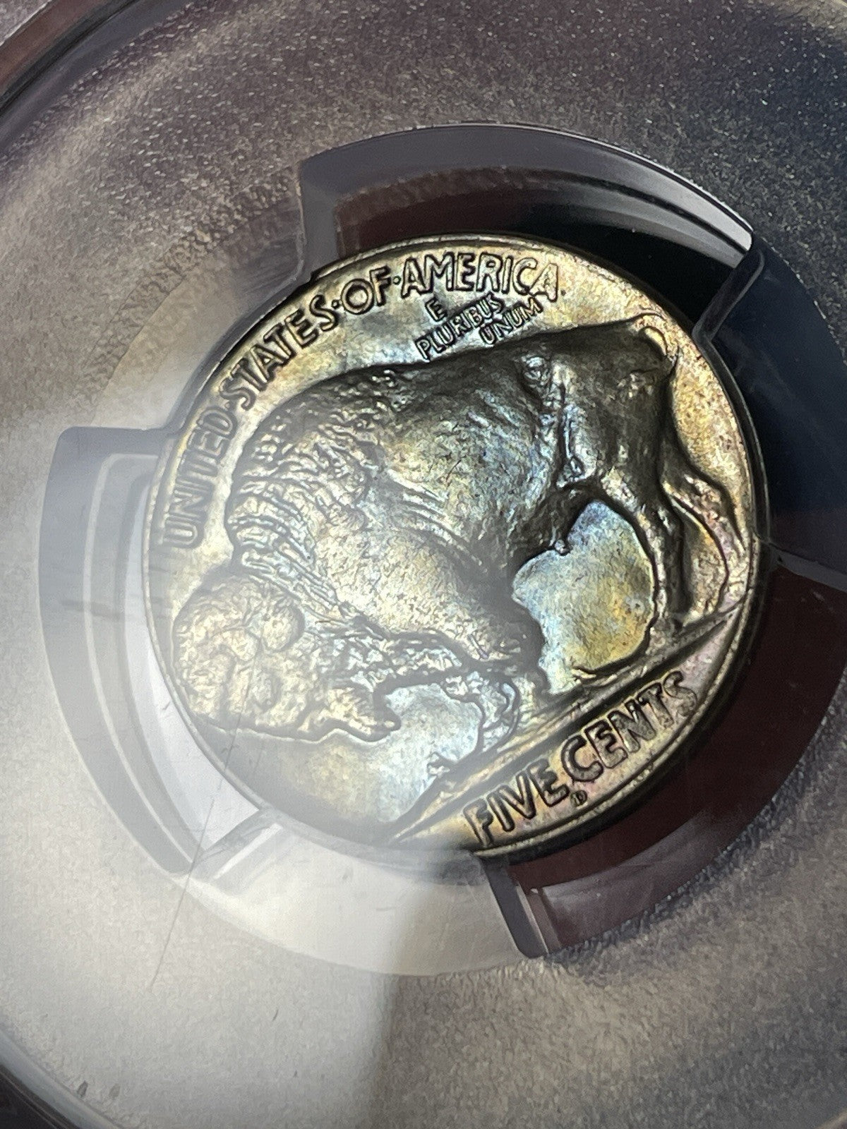 1925-D PCGS MS65 Buffalo Nickel Toned Blue And Gold
