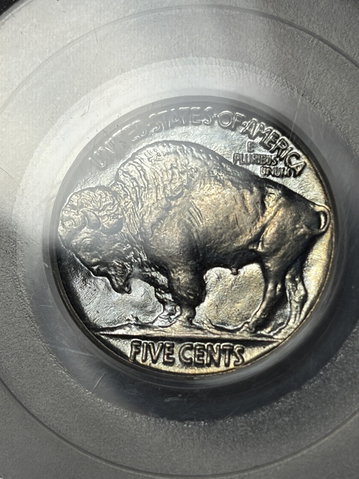 1937 PCGS MS66 GOLD CAC Buffalo Nickel Old Holder