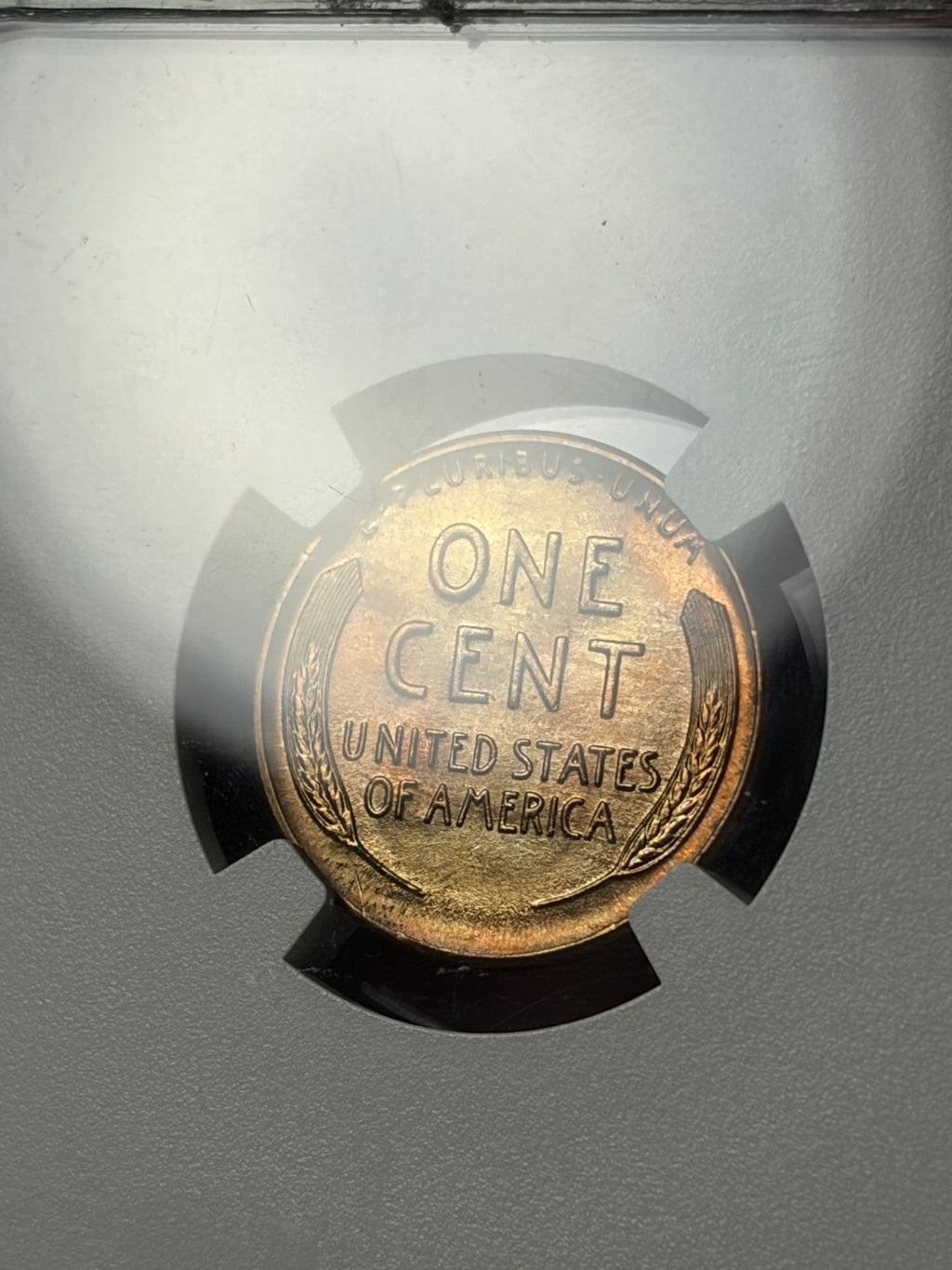 1941-D NGC MS66 RB CAC Lincoln Wheat Cent EX. MS67 RD