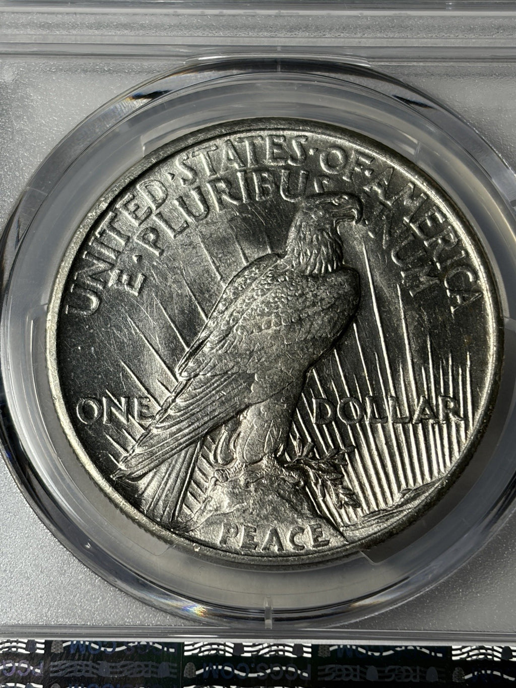 1921 PCGS MS62 Peace Silver Dollar High Relief