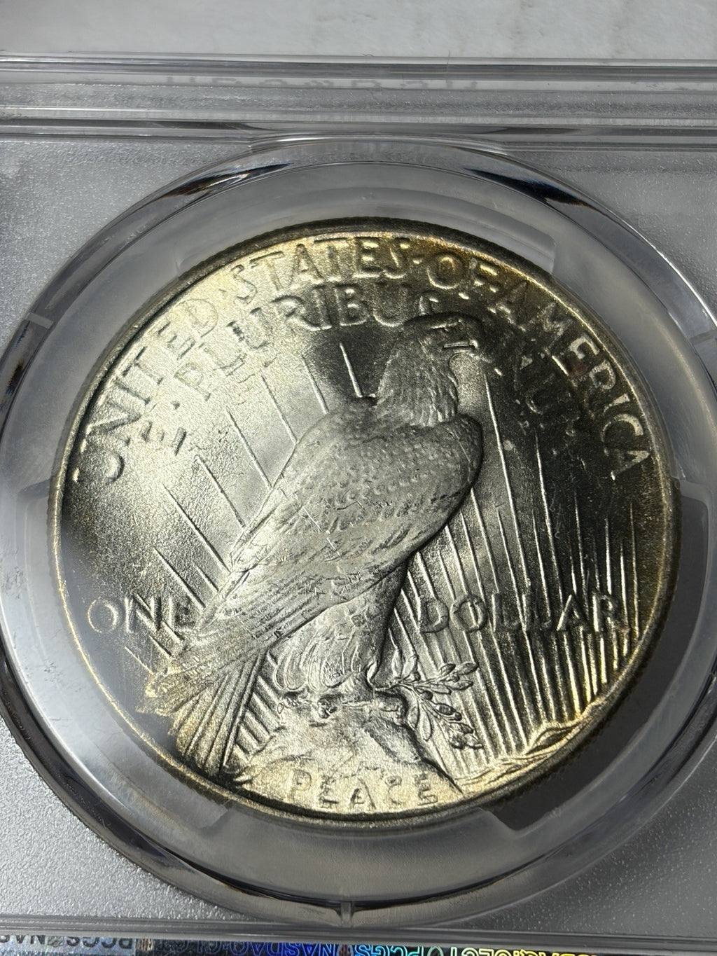 1924 PCGS MS66+ CAC Peace Silver Dollar