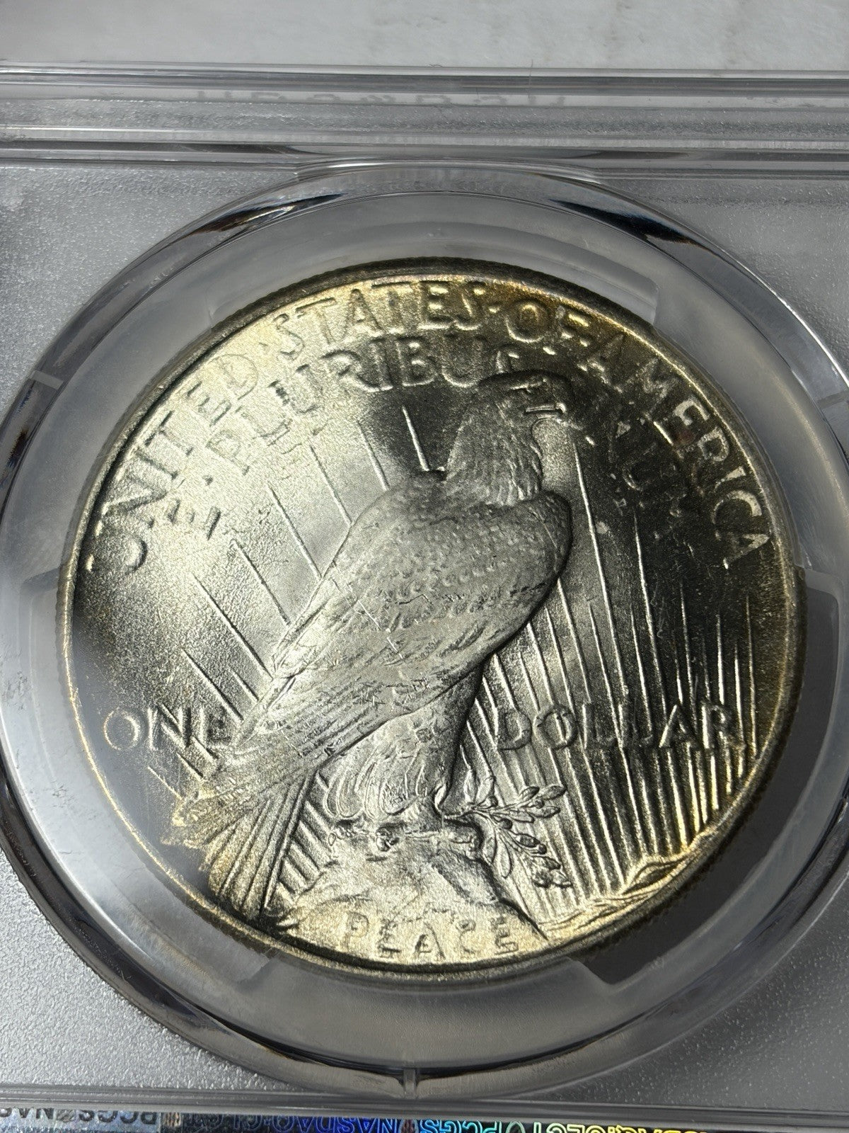 1924 PCGS MS66+ CAC Peace Silver Dollar