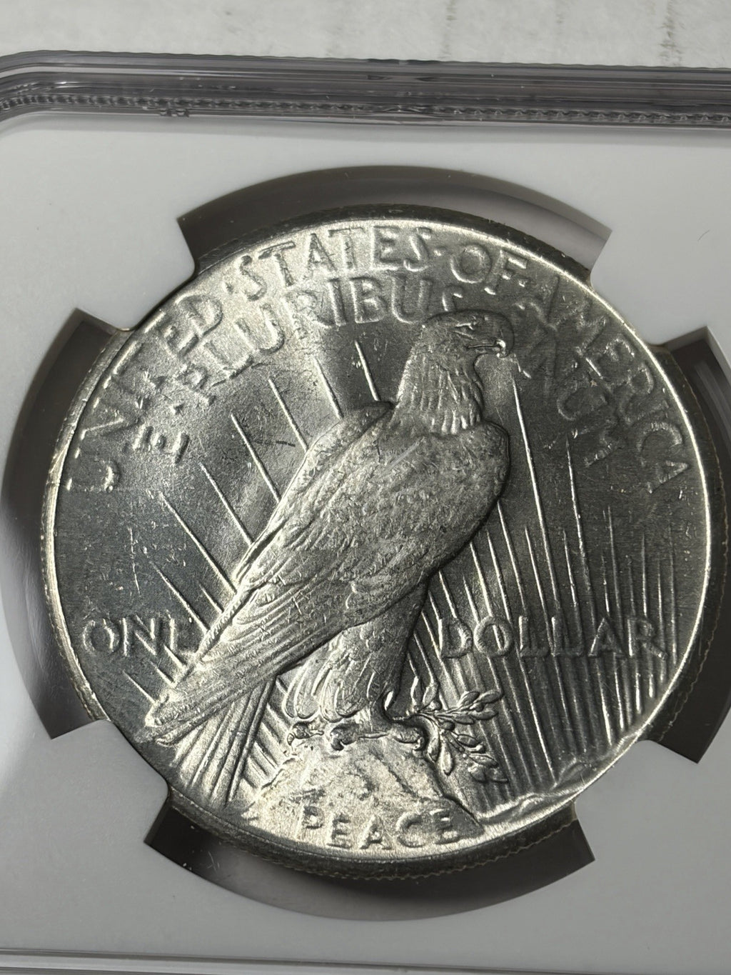 1926 NGC MS64 Peace Silver Dollar