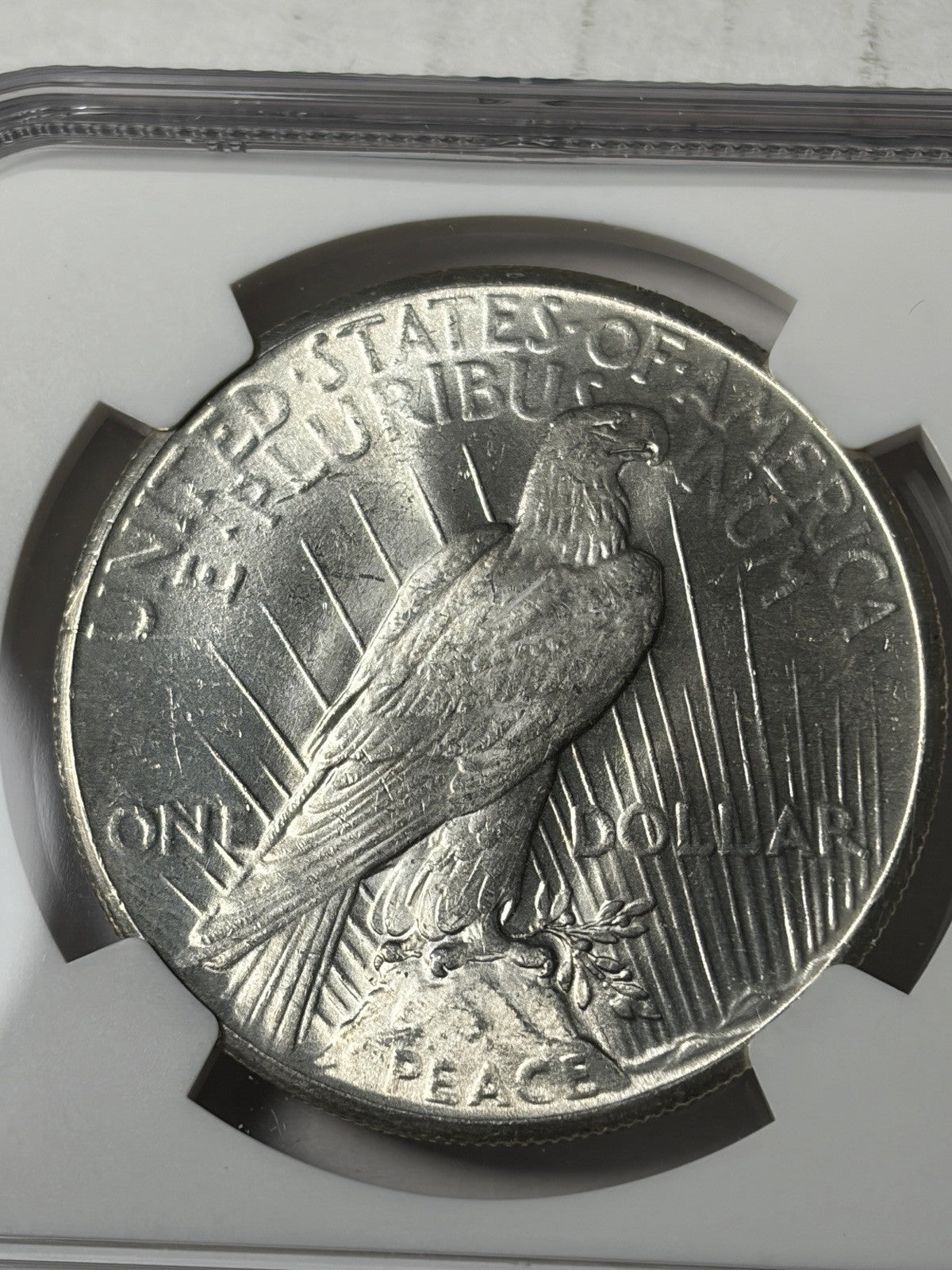 1926 NGC MS64 Peace Silver Dollar