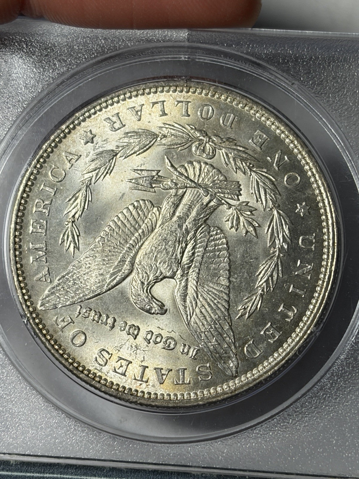 1892 PCGS MS65 Morgan Silver Dollar Toned Rattler WOW