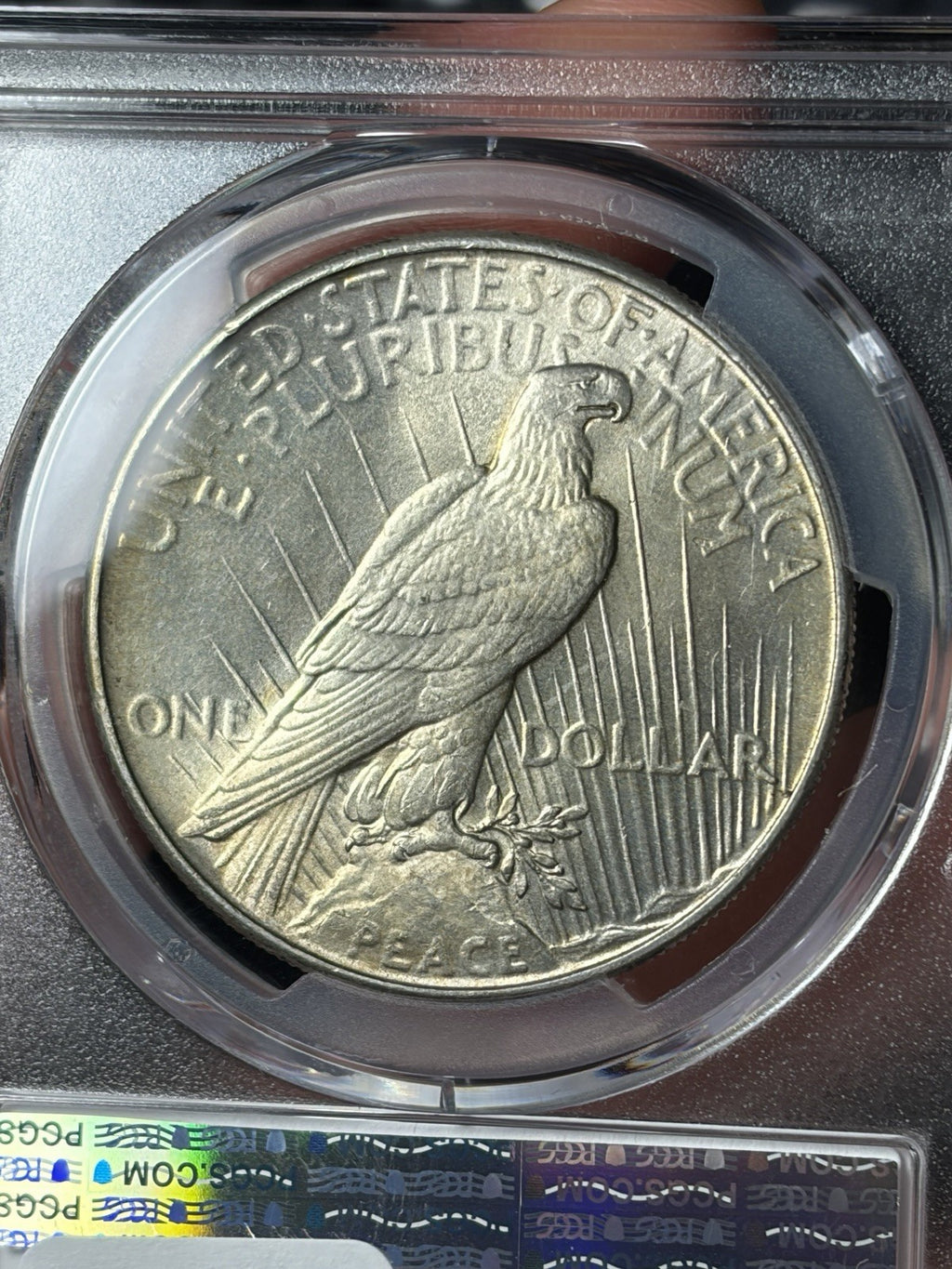 1934 PCGS MS64 Peace Silver Dollar Lightly Toned