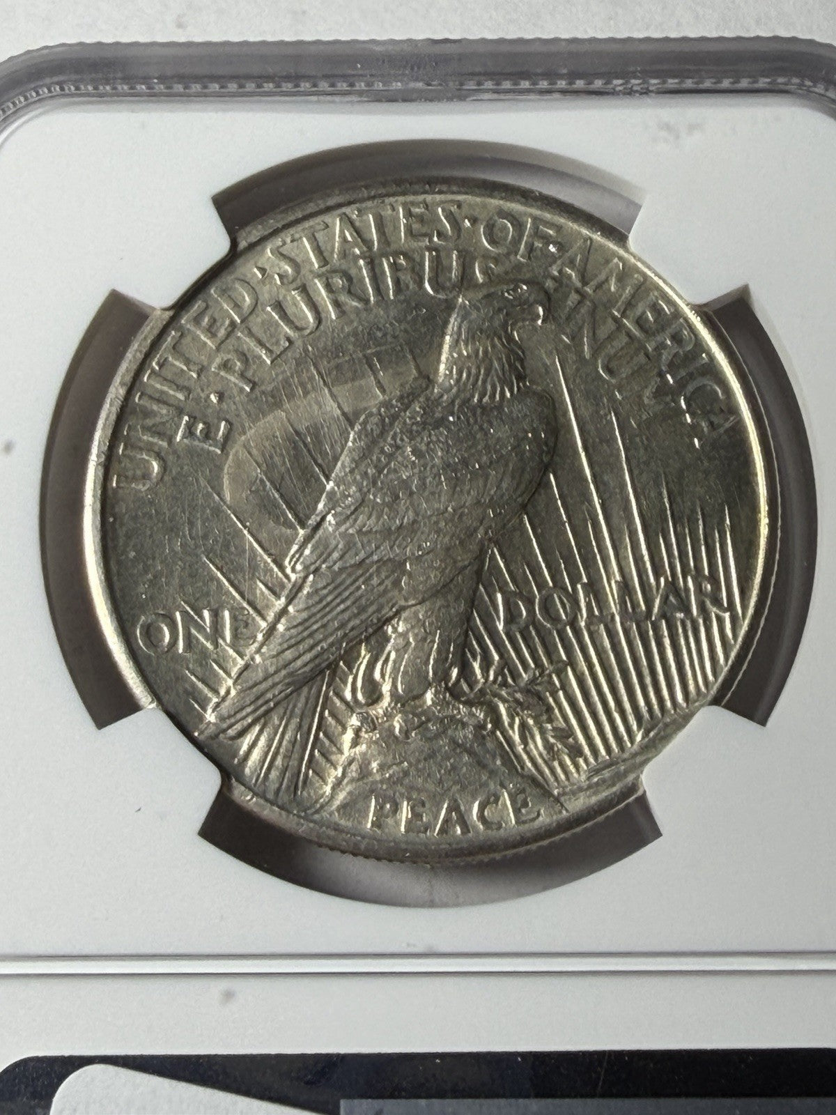 1921 NGC UNC Details High Relief Peace Dollar