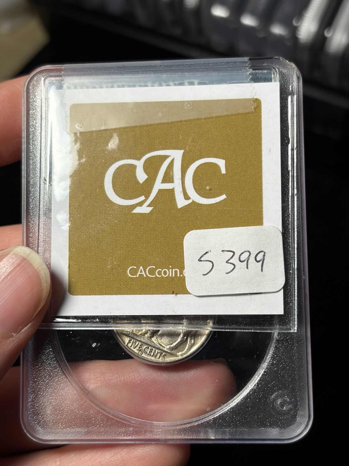 1937-D PCGS MS65 GOLD CAC Buffalo Nickel Rattler Holder