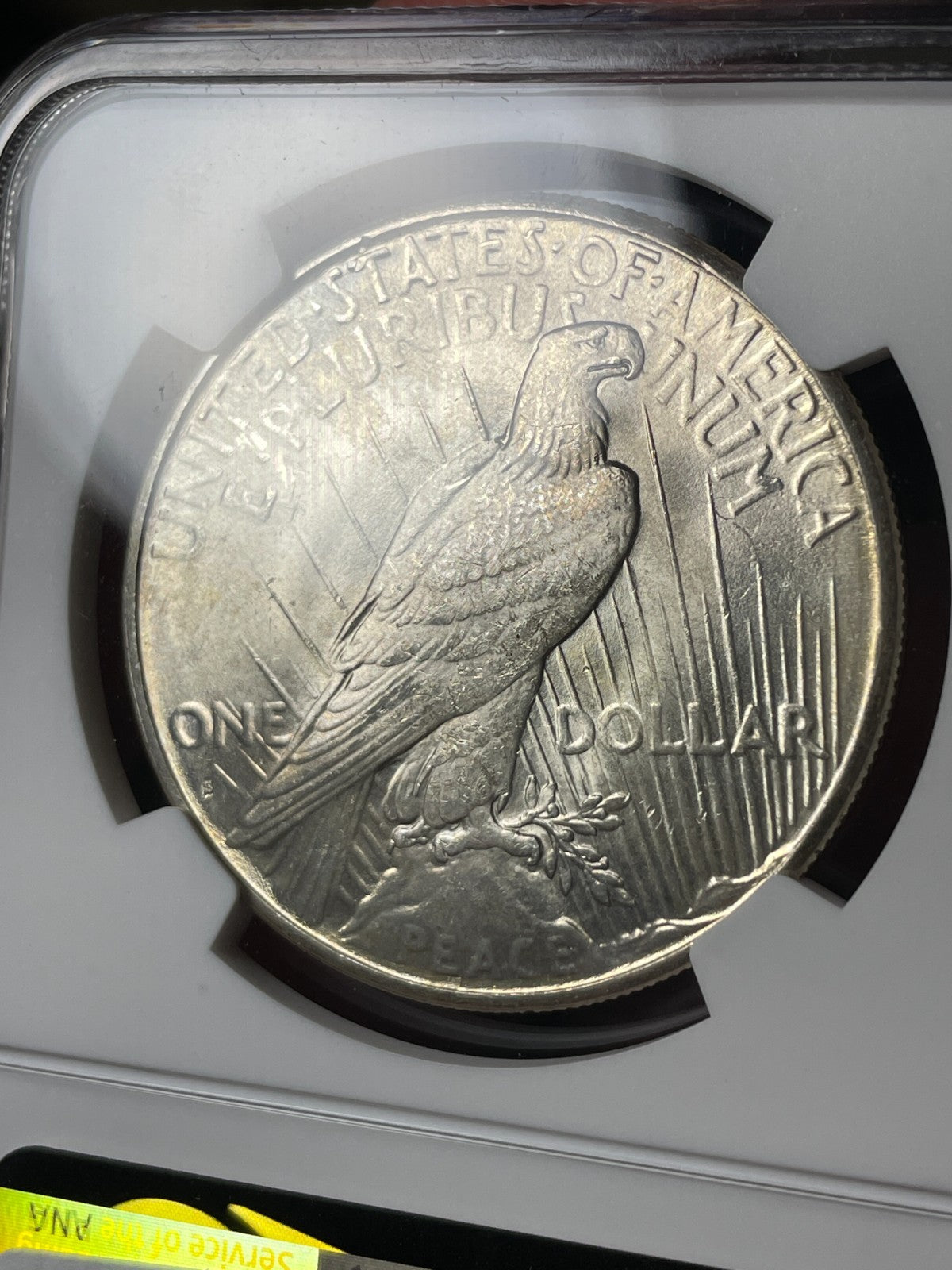1925-S NGC MS62 CAC Peace Silver Dollar - EX. MS63 Tougher Date