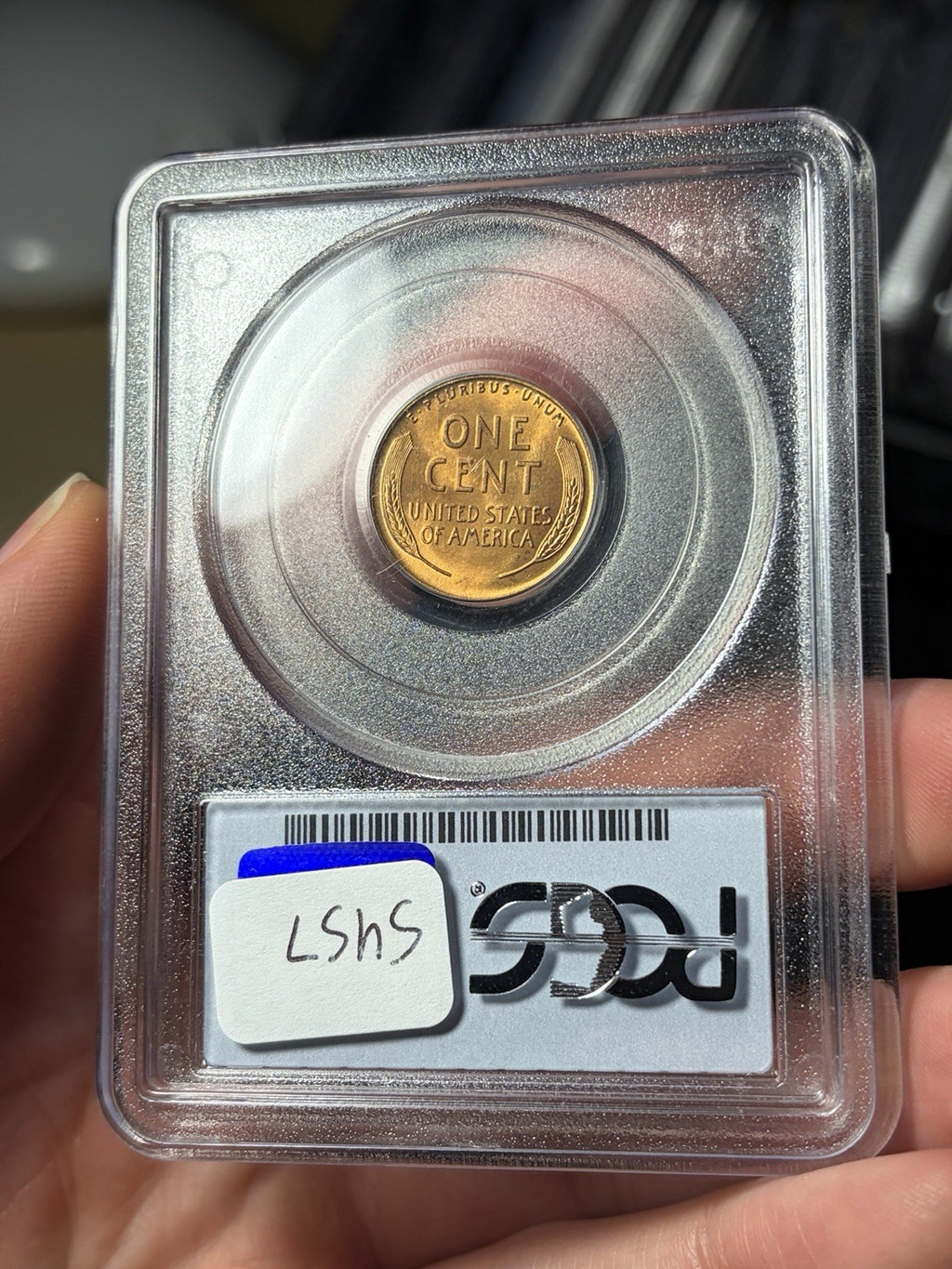 1926 PCGS MS65 RD CAC Lincoln Wheat Cent Old Blue Holder