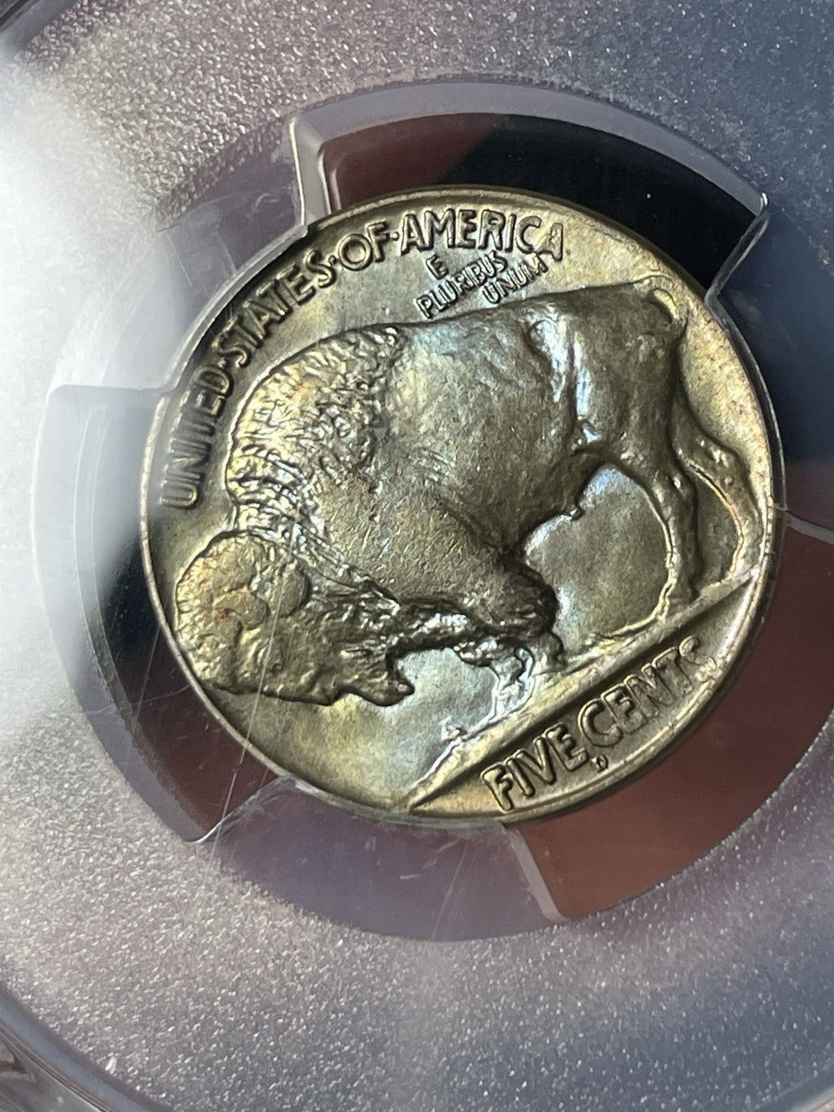 1925-D PCGS MS65 Buffalo Nickel Toned Blue And Gold