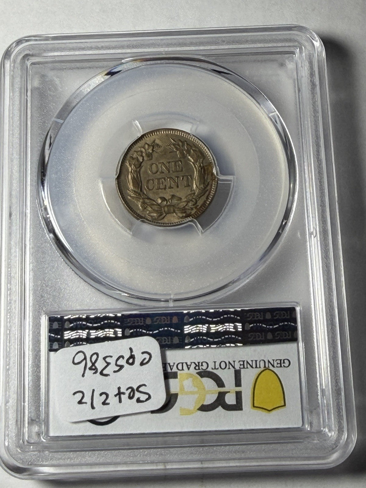 1857 PCGS Genuine Flying Eagle Graffiti Set