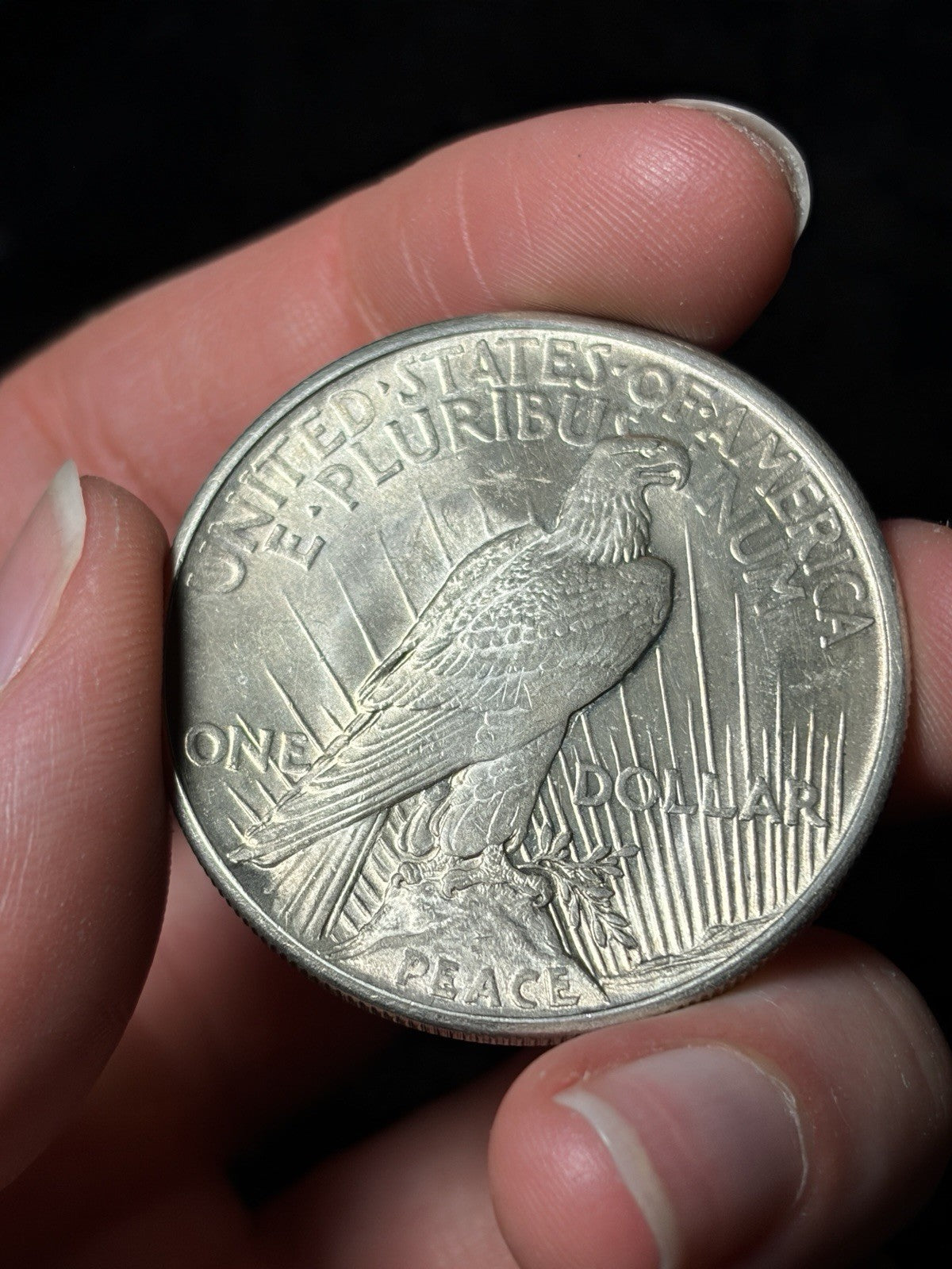 1921 Peace Silver Dollar