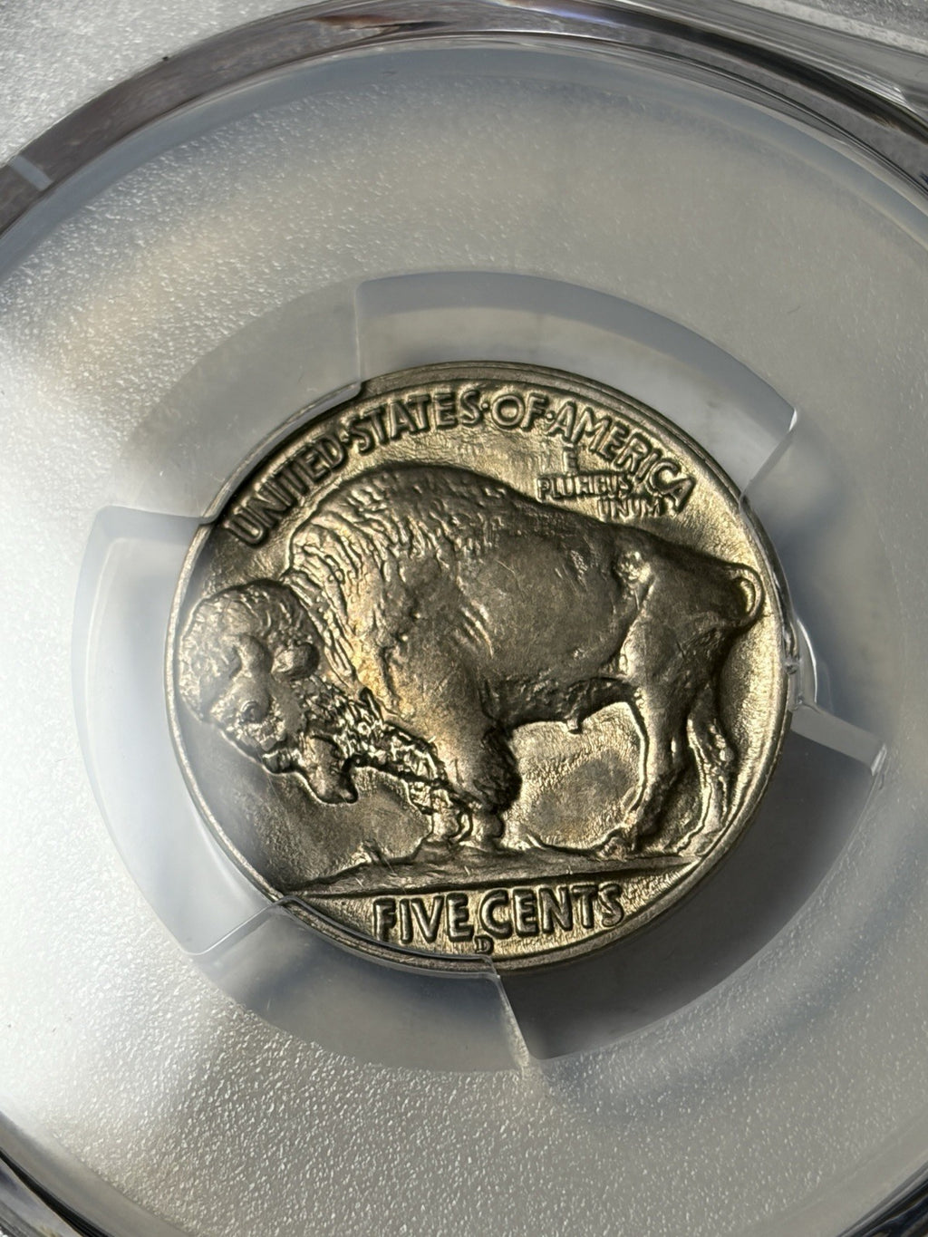 1916-D PCGS MS65 Buffalo Nickel