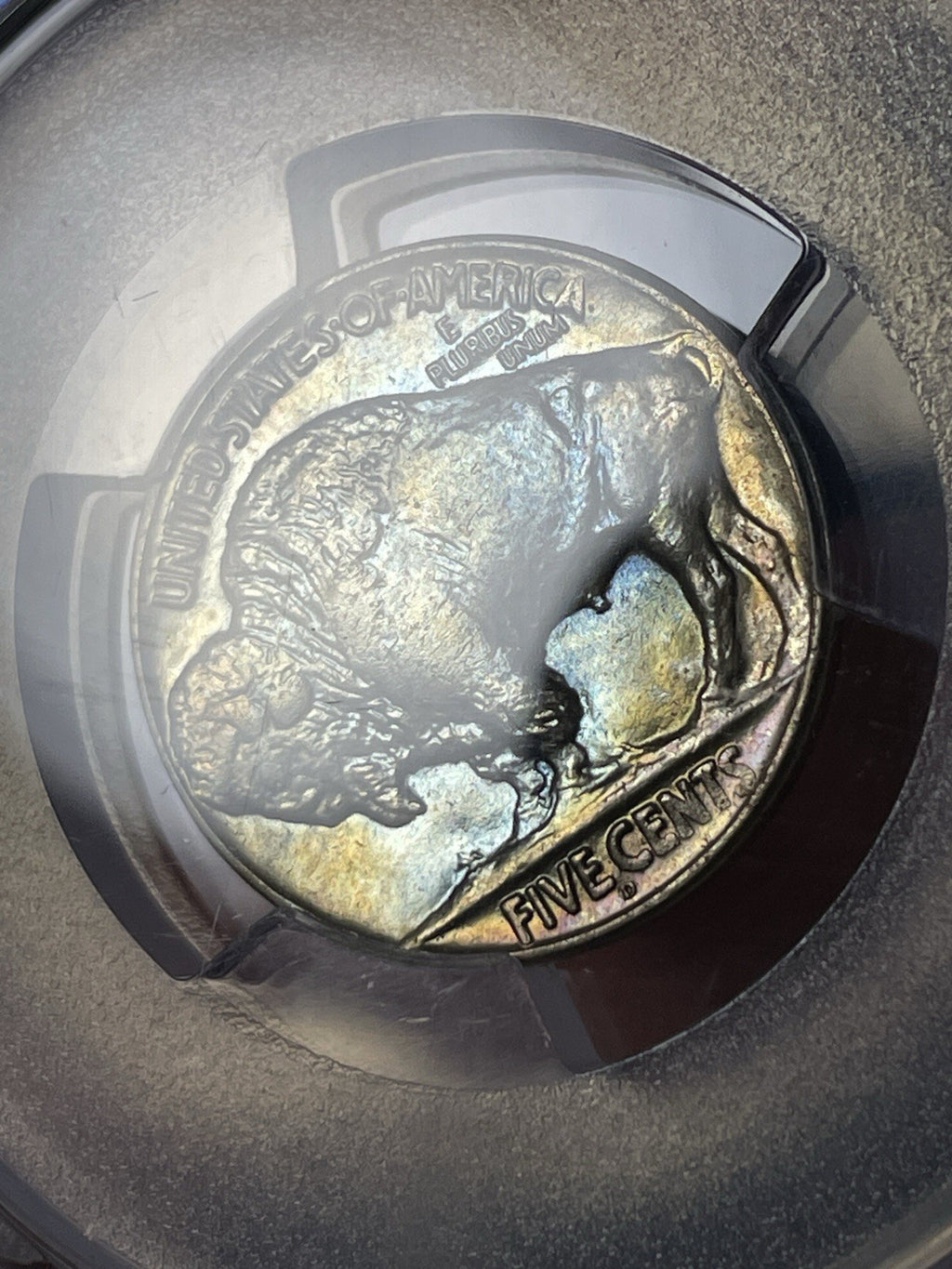 1925-D PCGS MS65 Buffalo Nickel Toned Blue And Gold