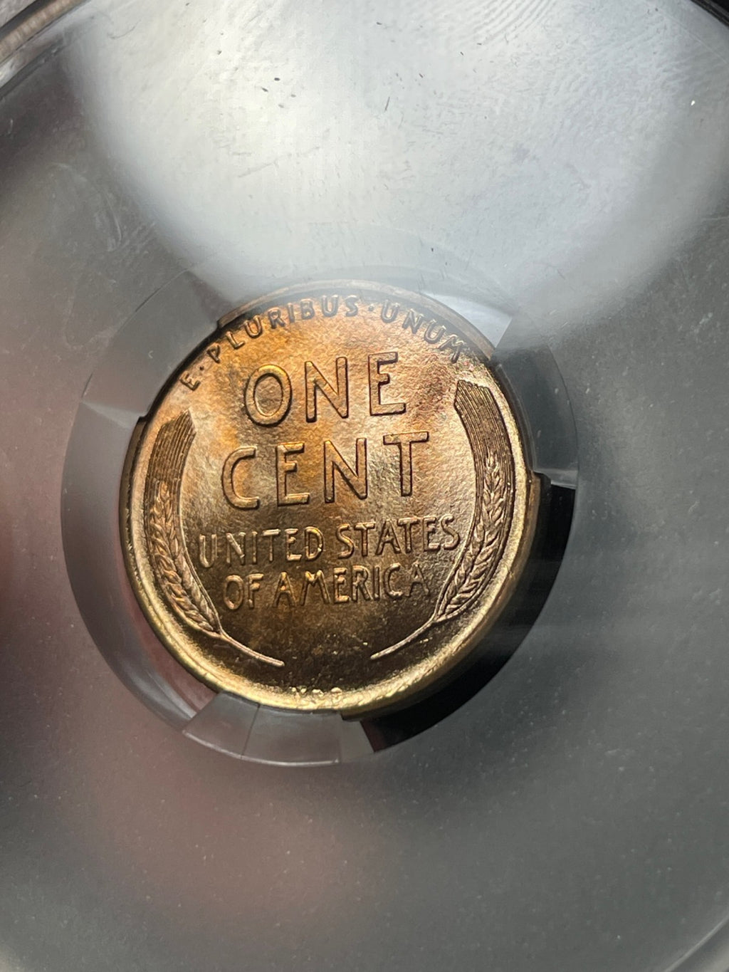 1909 VDB CACG MS66 RD Lincoln Wheat Cent Nice Coin