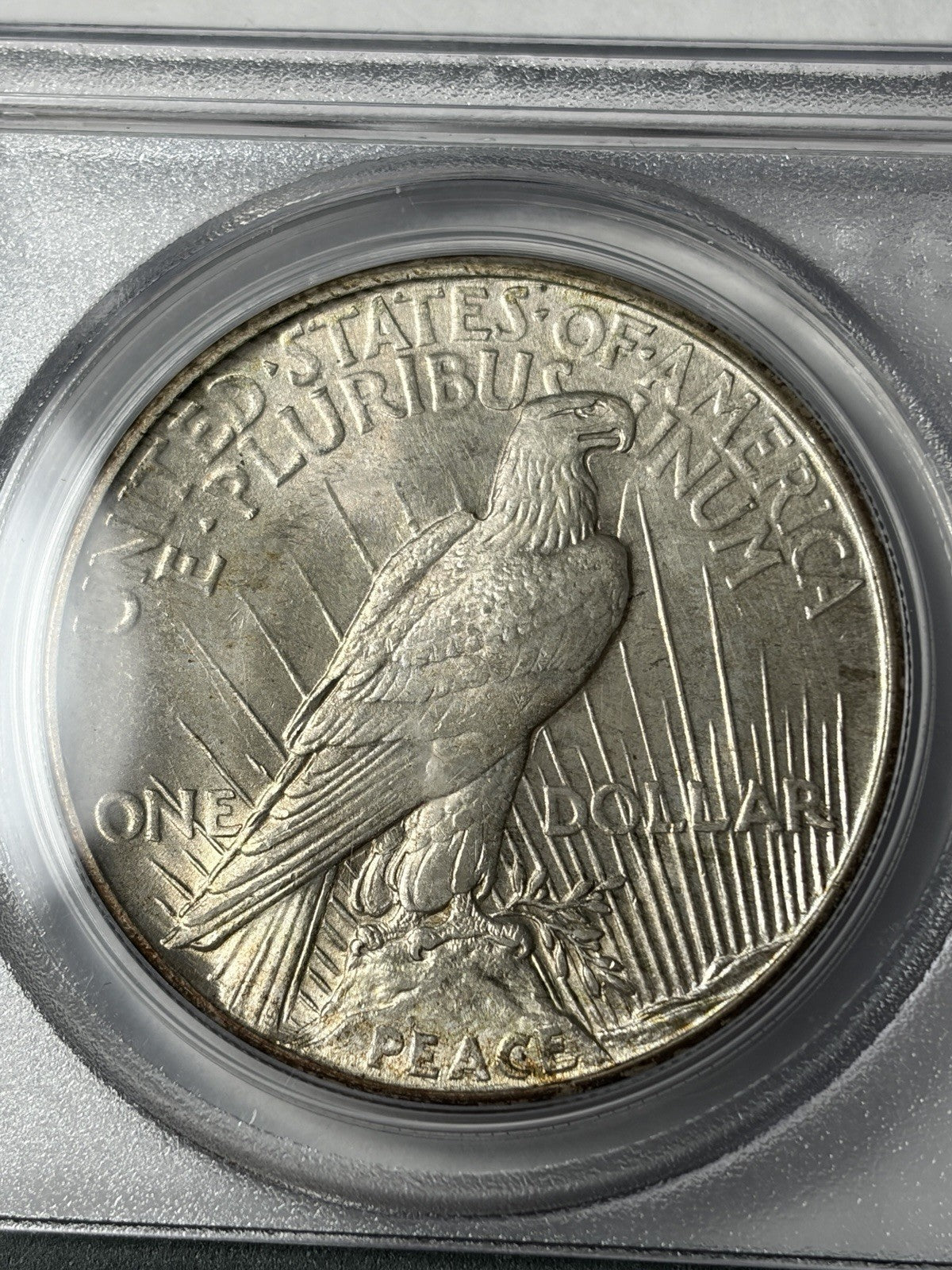 1921 PCGS MS64 CAC Peace Silver Dollar Old Green Holder Toned