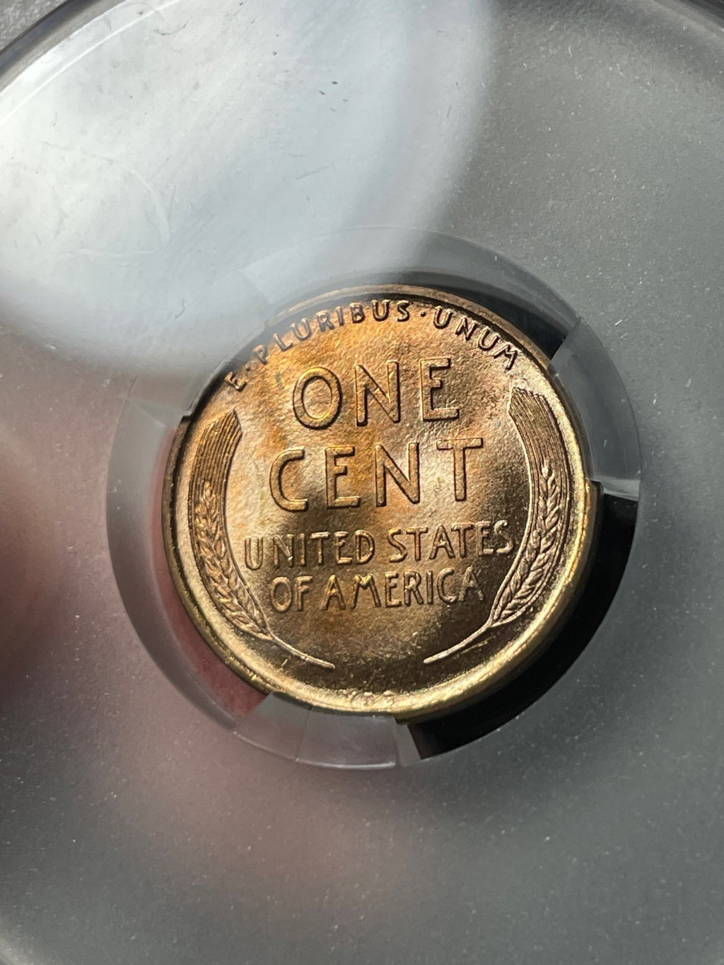 1909 VDB CACG MS66 RD Lincoln Wheat Cent Nice Coin