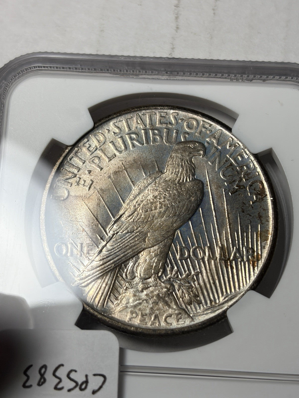 1921 NGC MS65 Peace Silver Dollar Toned Key Date