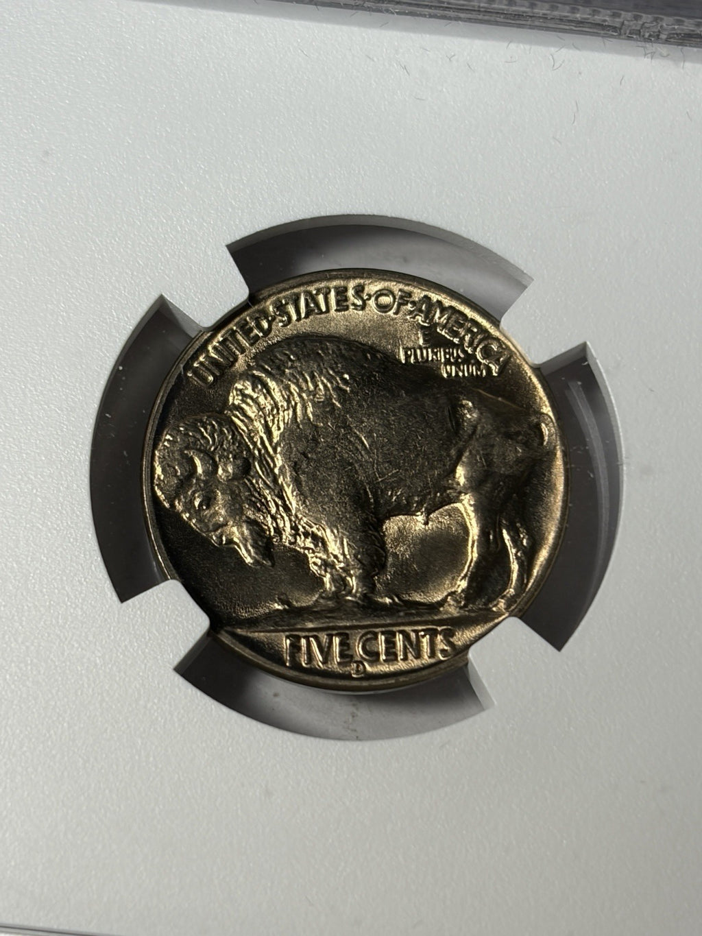1938-D/S NGC MS67 Buffalo Nickel