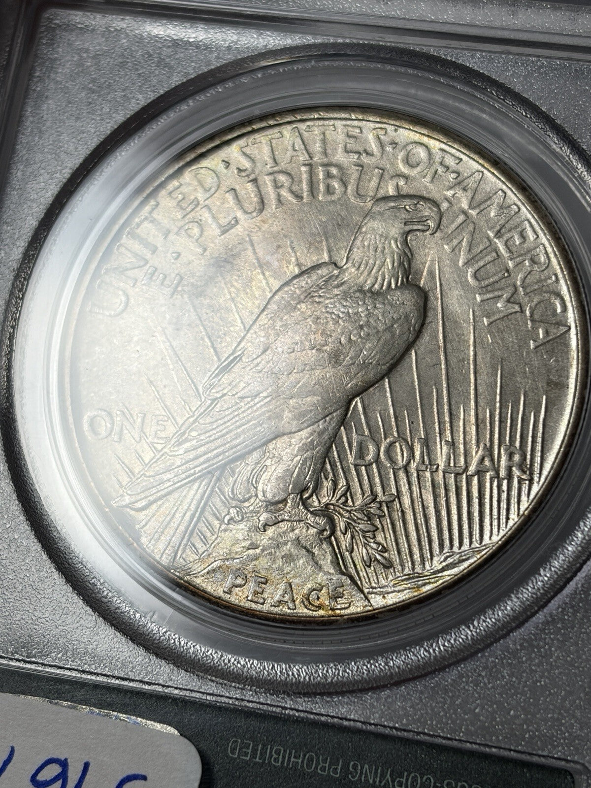 1921 PCGS MS64 CAC Peace Silver Dollar Old Green Holder Toned
