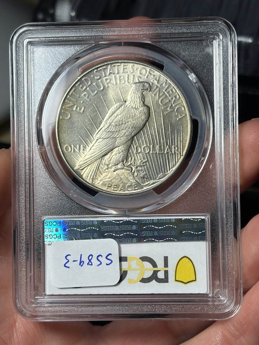 1934 PCGS MS64 Peace Silver Dollar Lightly Toned