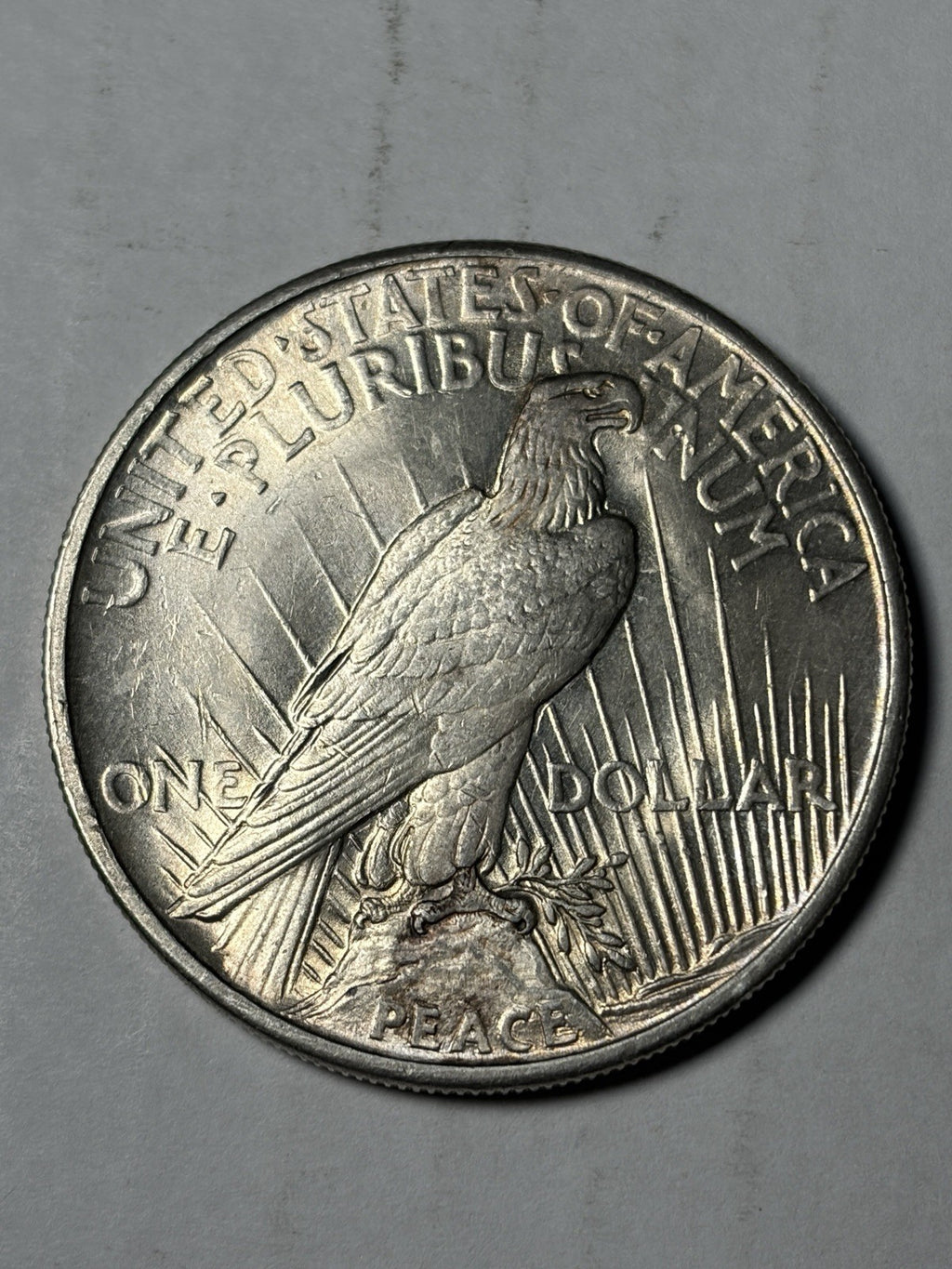 1921 Peace Silver Dollar Uncirculated Details