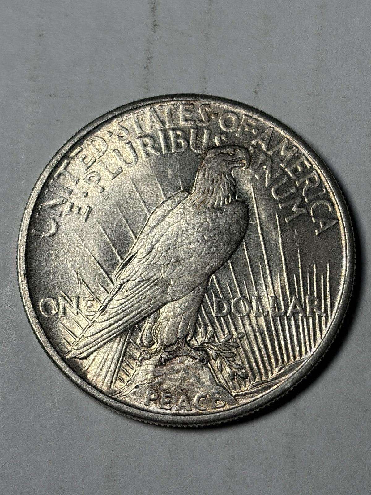 1921 Peace Silver Dollar Uncirculated Details
