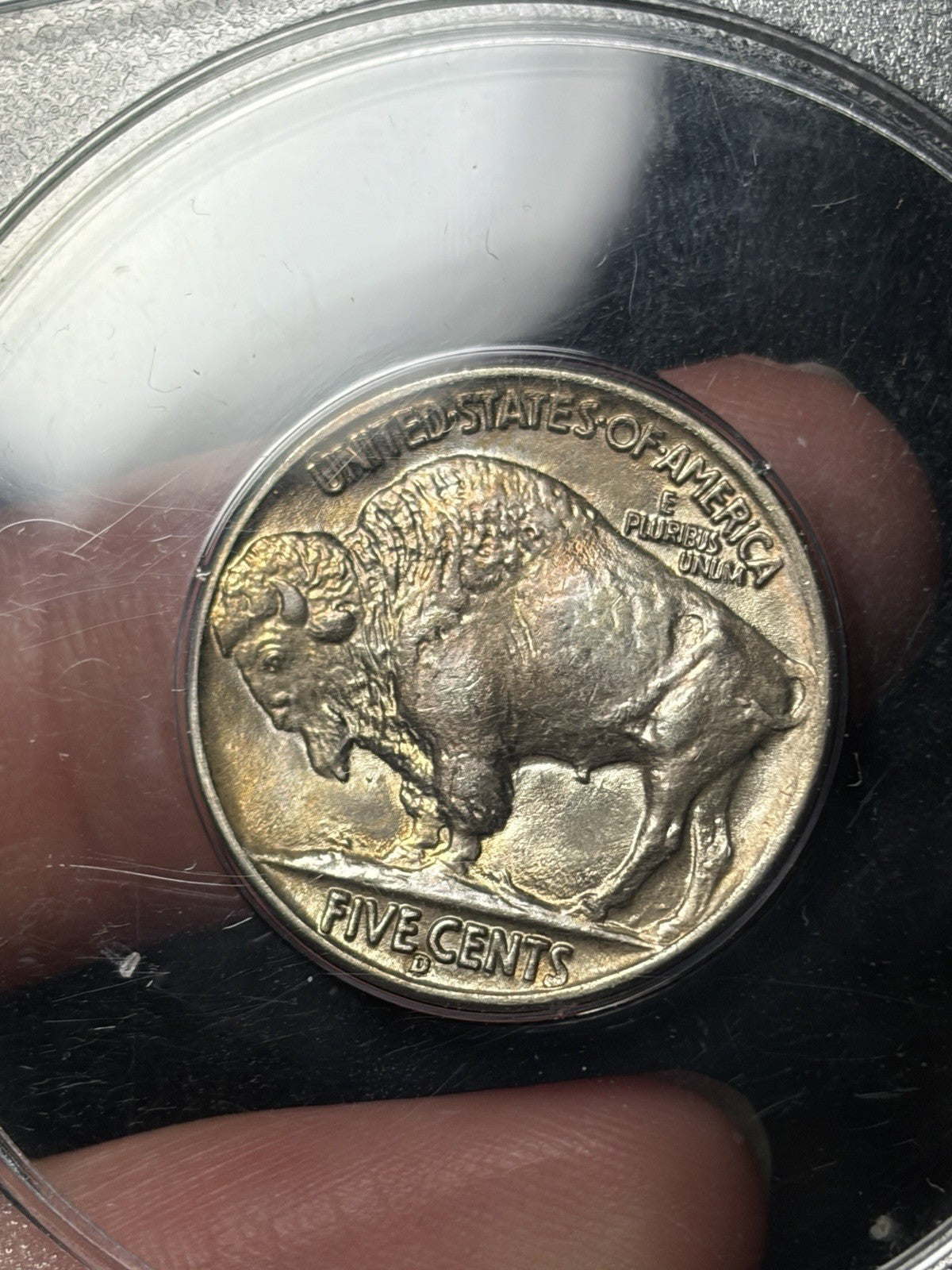 1937-D PCGS MS65 GOLD CAC Buffalo Nickel Rattler Holder