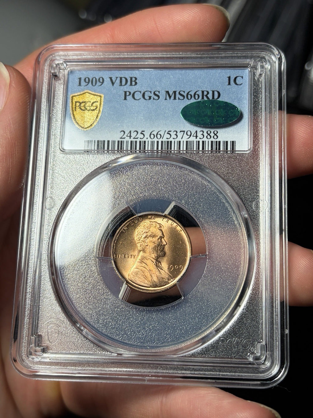 1909 VDB PCGS MS66 RD CAC Lincoln Wheat Cent Nice Coin