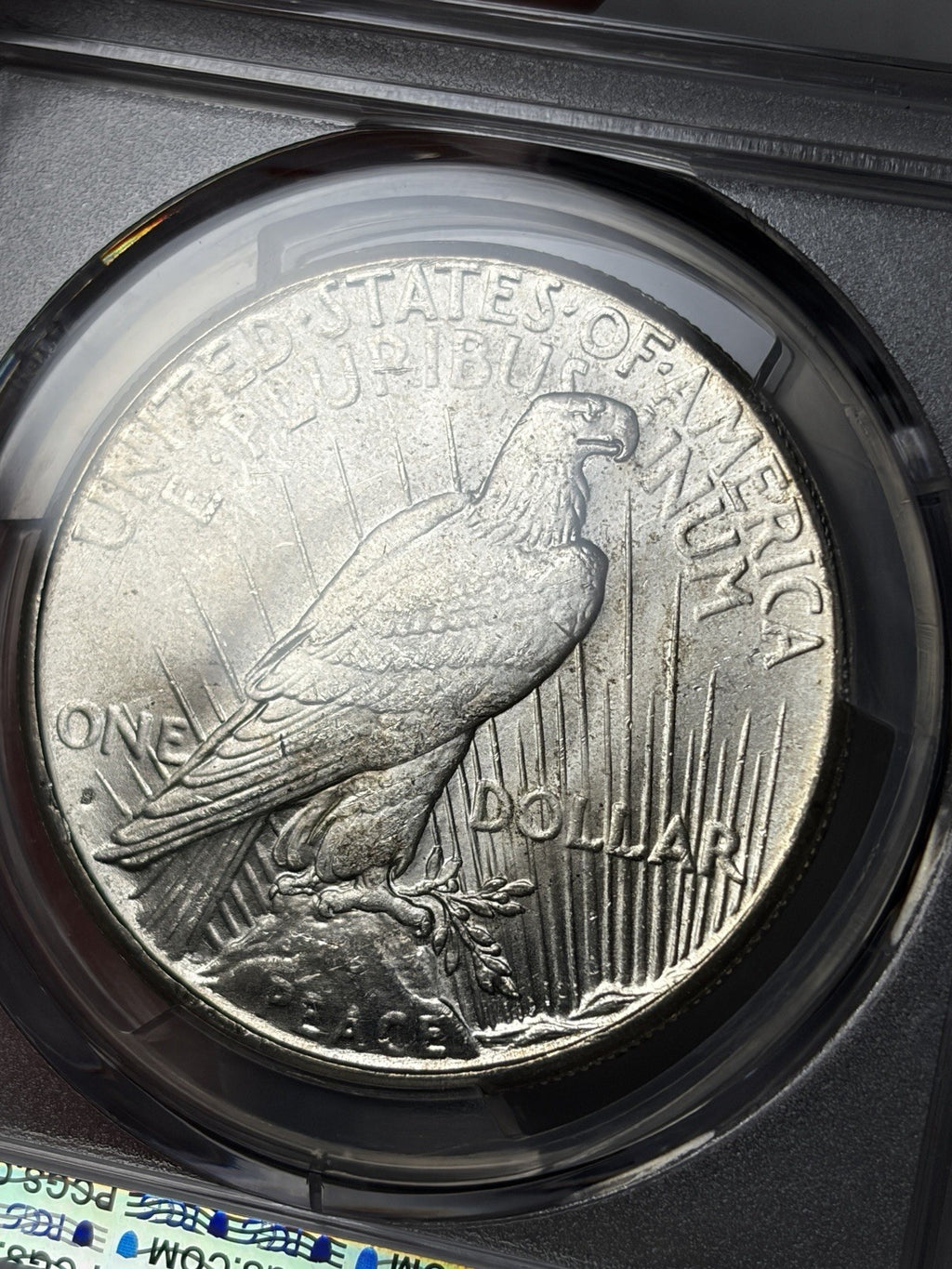 1925-S PCGS MS64 Peace Silver Dollar