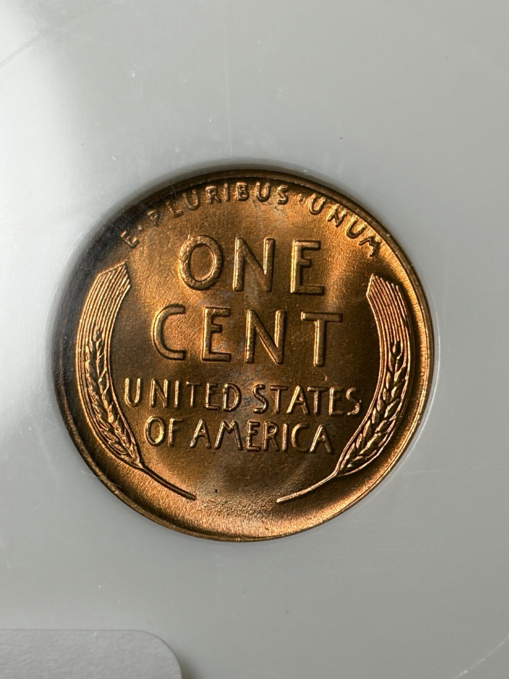 1942-D NGC MS66 RD Lincoln Wheat Cent Old Fatty Holder