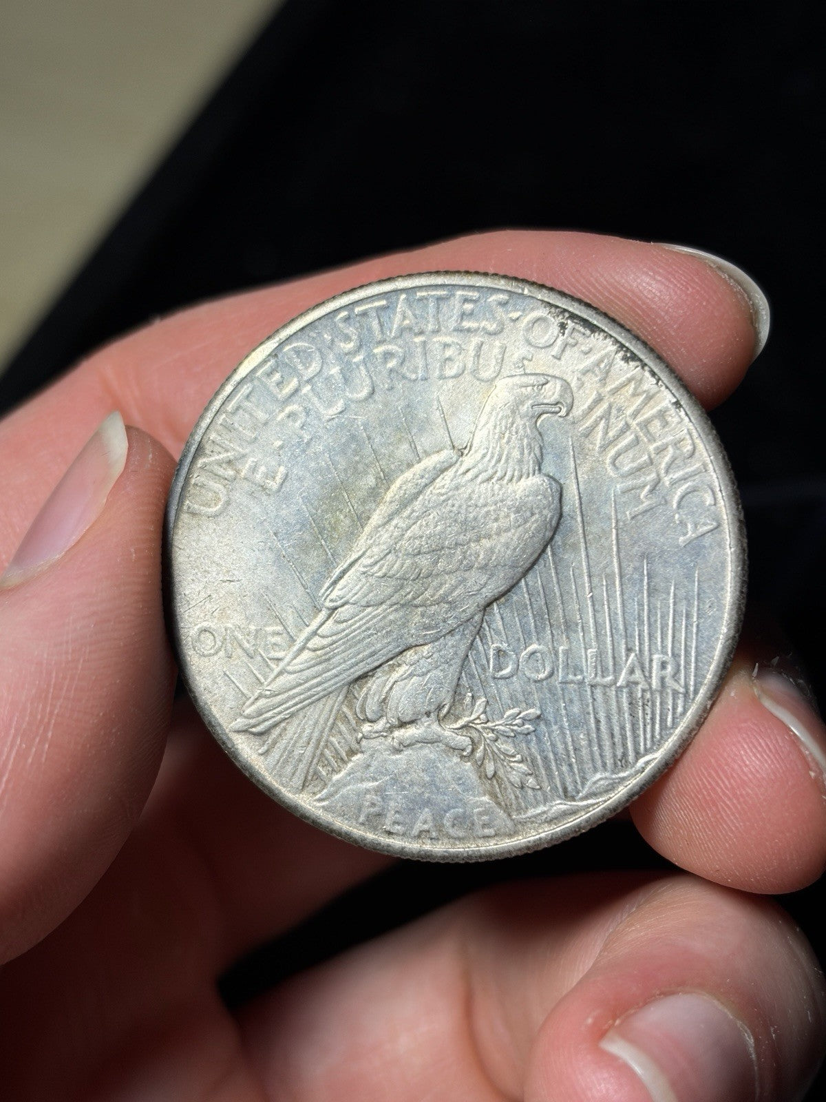 1928 Peace Silver Dollar