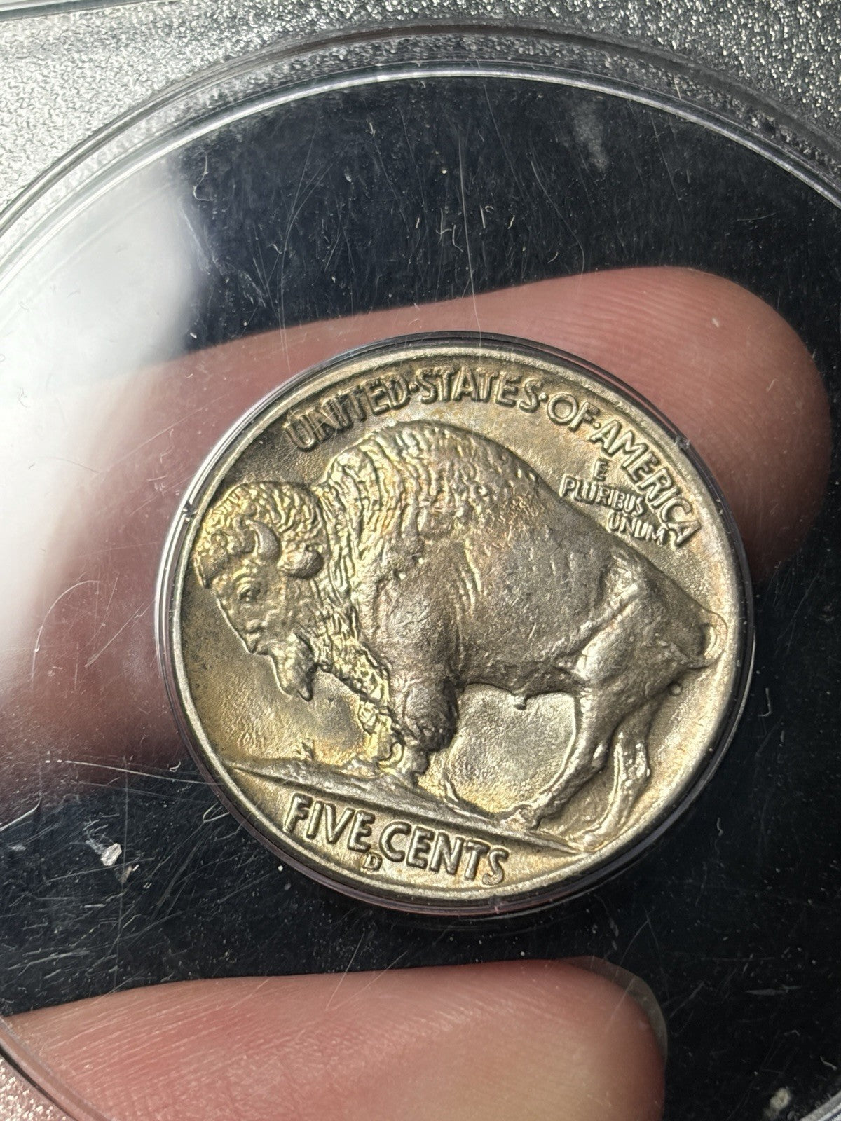 1937-D PCGS MS65 GOLD CAC Buffalo Nickel Rattler Holder