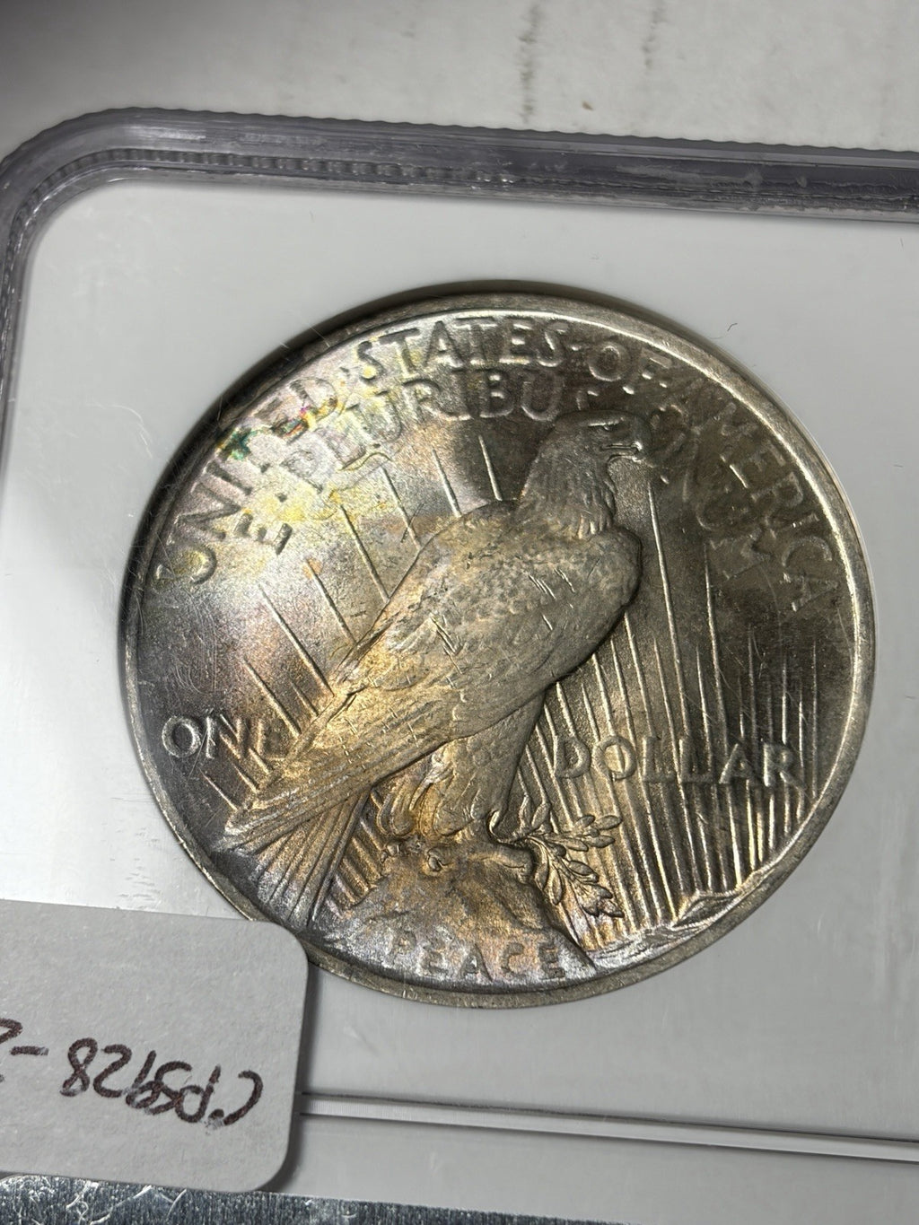 1923 NGC MS63 Peace Silver Dollar Toned RARE