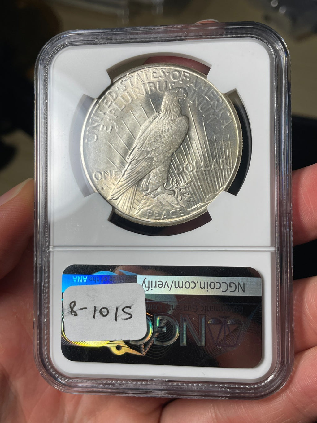 1925-S NGC MS62 CAC Peace Silver Dollar - EX. MS63 Tougher Date
