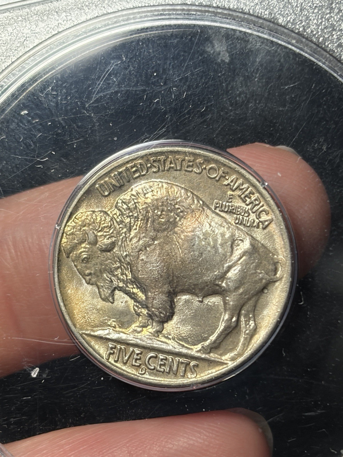 1937-D PCGS MS65 GOLD CAC Buffalo Nickel Rattler Holder