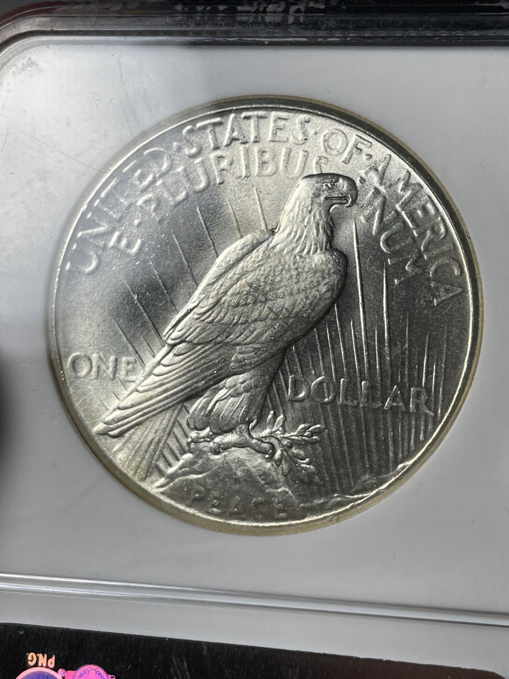 1926 NGC MS64 Peace Silver Dollar