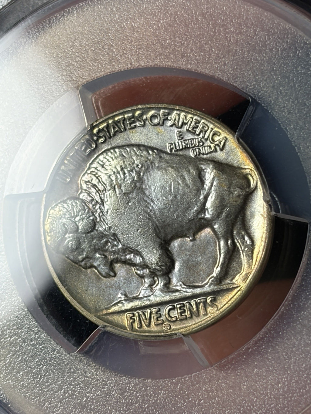 1934-D PCGS MS64 Buffalo Nickel Toned Toning