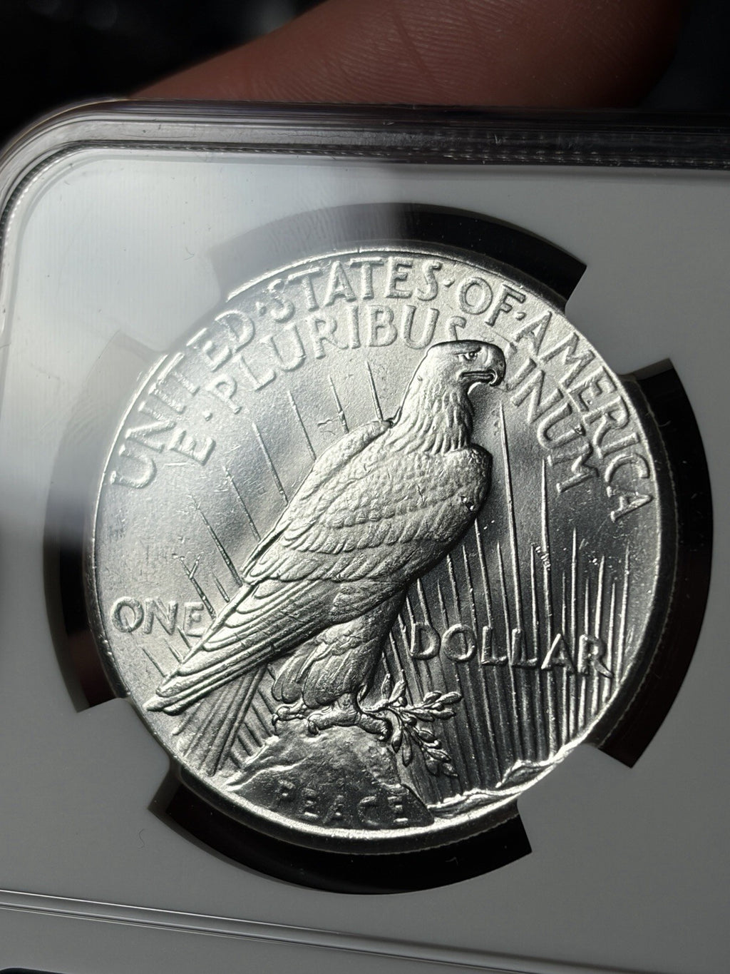 1928 NGC MS62 Peace Silver Dollar Key Date Blast White